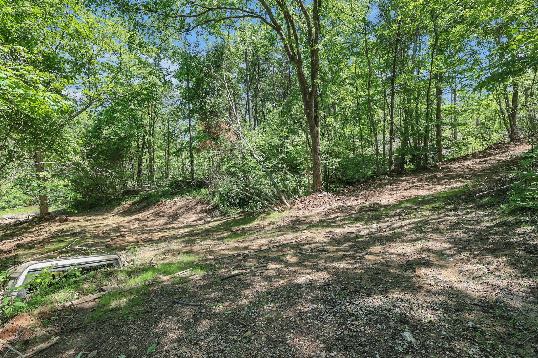 660 Rogues Fork Road Bethpage, TN 37022 - Photo 24 of 55 a view of a yard with large trees