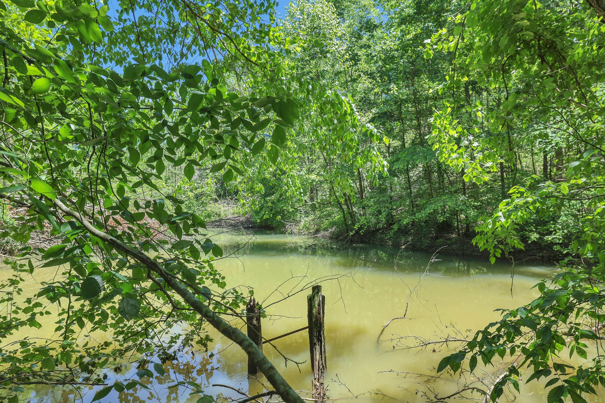 660 Rogues Fork Road Bethpage, TN 37022 - Photo 25 of 55 a view of lake