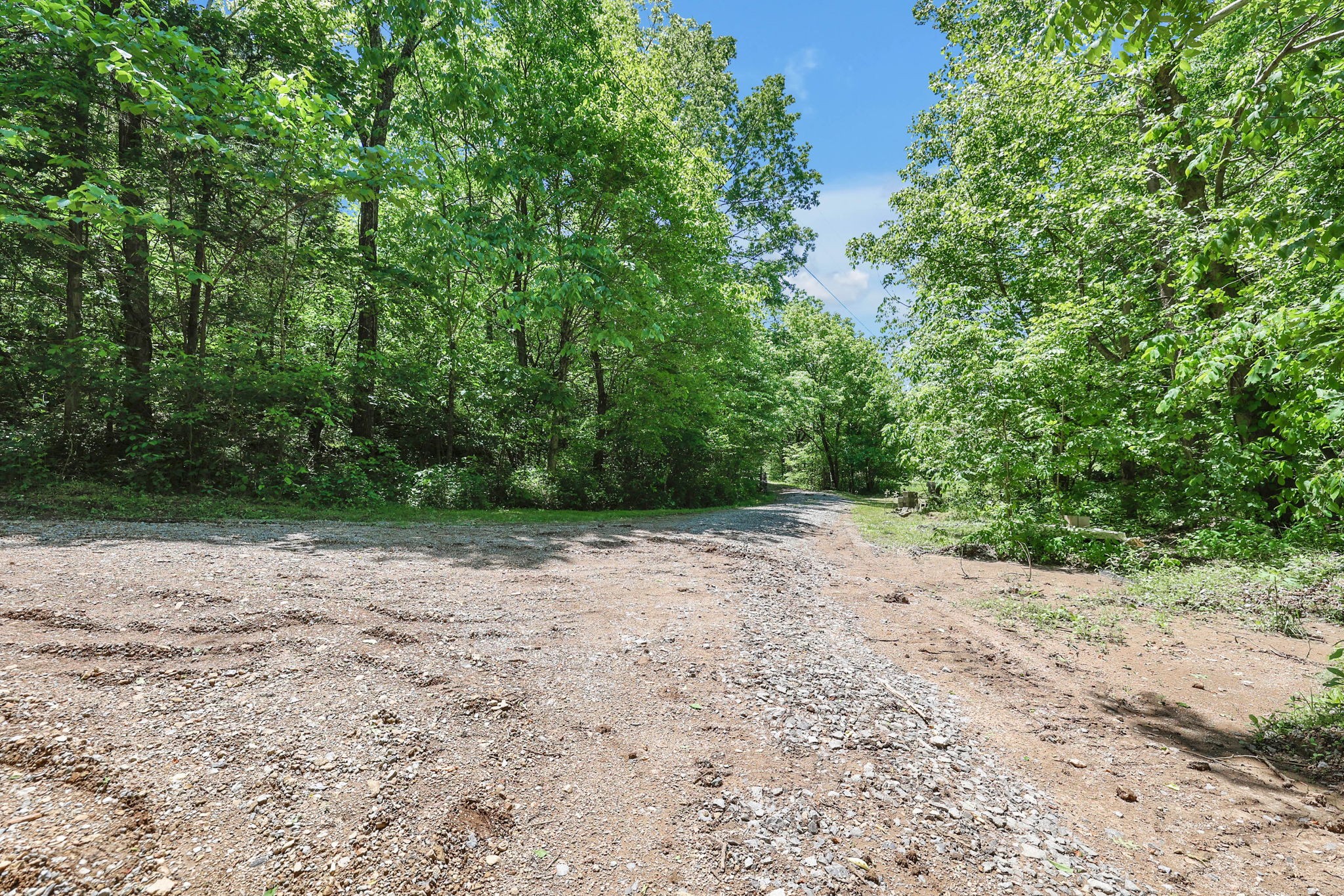 660 Rogues Fork Road Bethpage, TN 37022 - Photo 27 of 55 a view of a dirt road with trees in the background