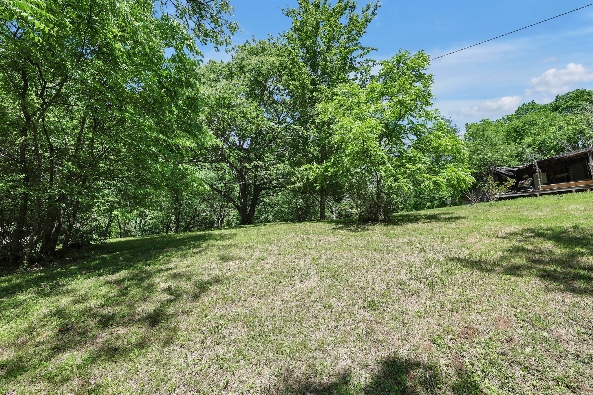 660 Rogues Fork Road Bethpage, TN 37022 - Photo 28 of 55 a view of a field with trees in the background