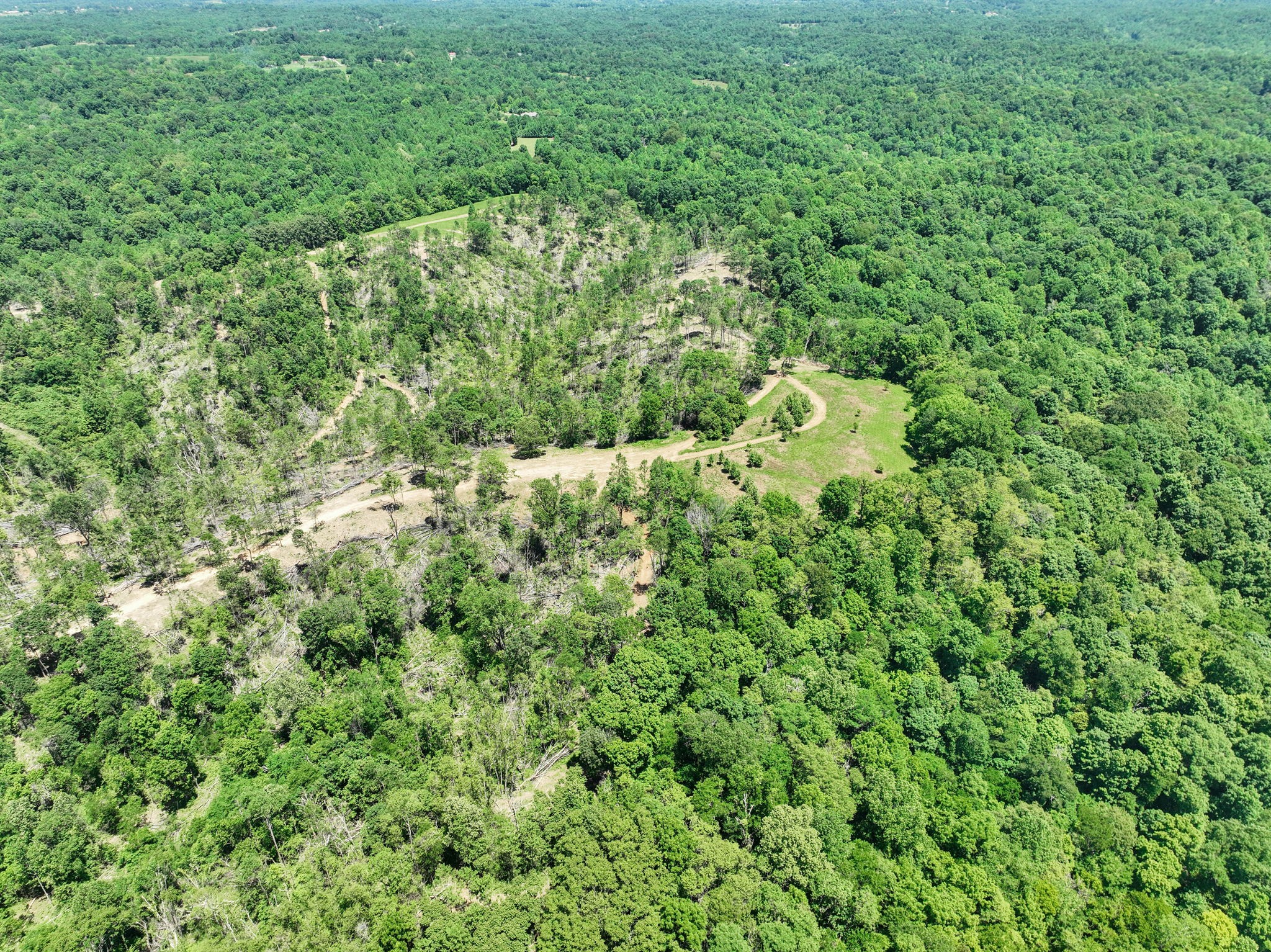 660 Rogues Fork Road Bethpage, TN 37022 - Photo 29 of 55 a view of a lush green forest