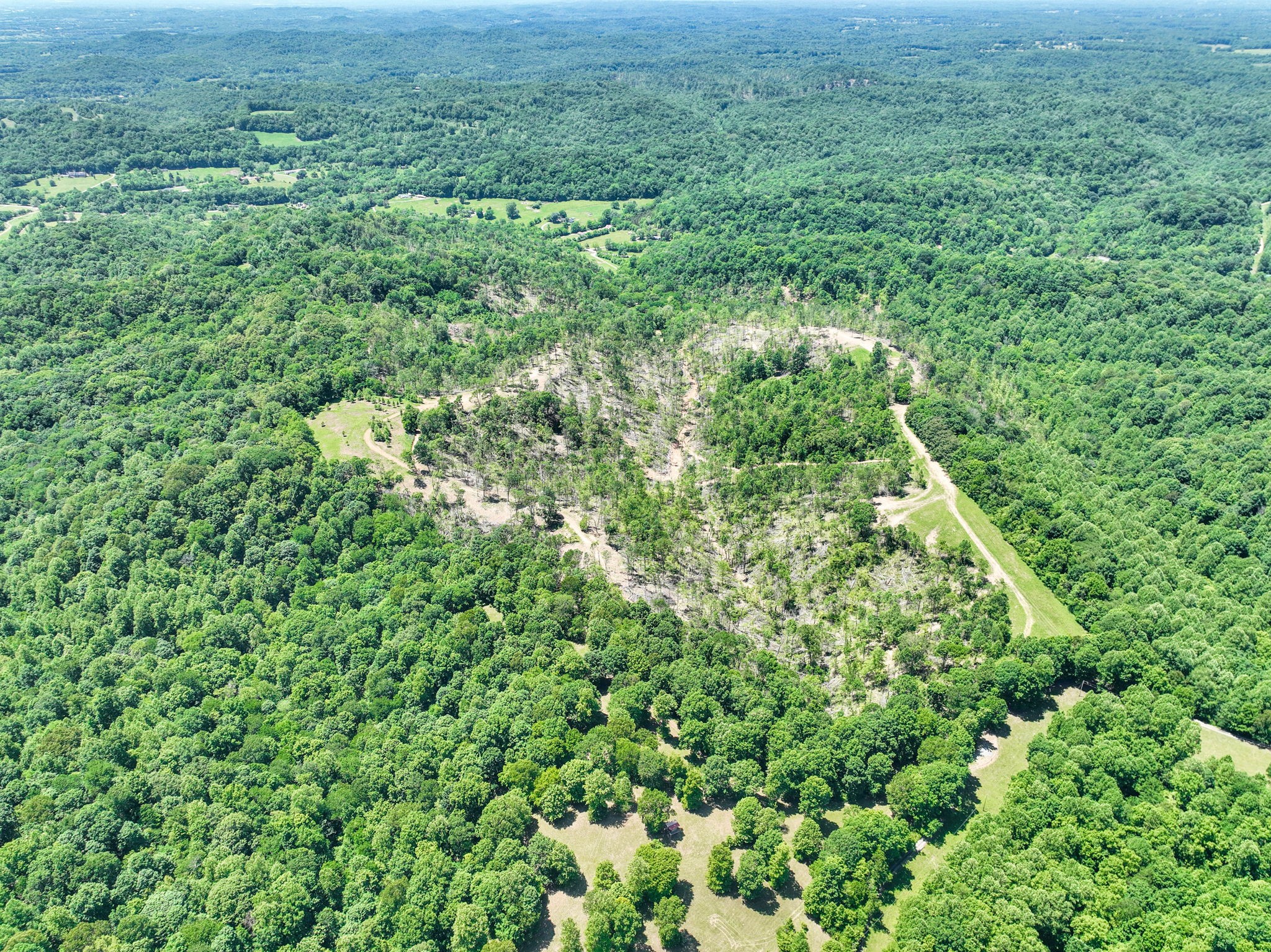 660 Rogues Fork Road Bethpage, TN 37022 - Photo 30 of 55 a view of a lush green forest