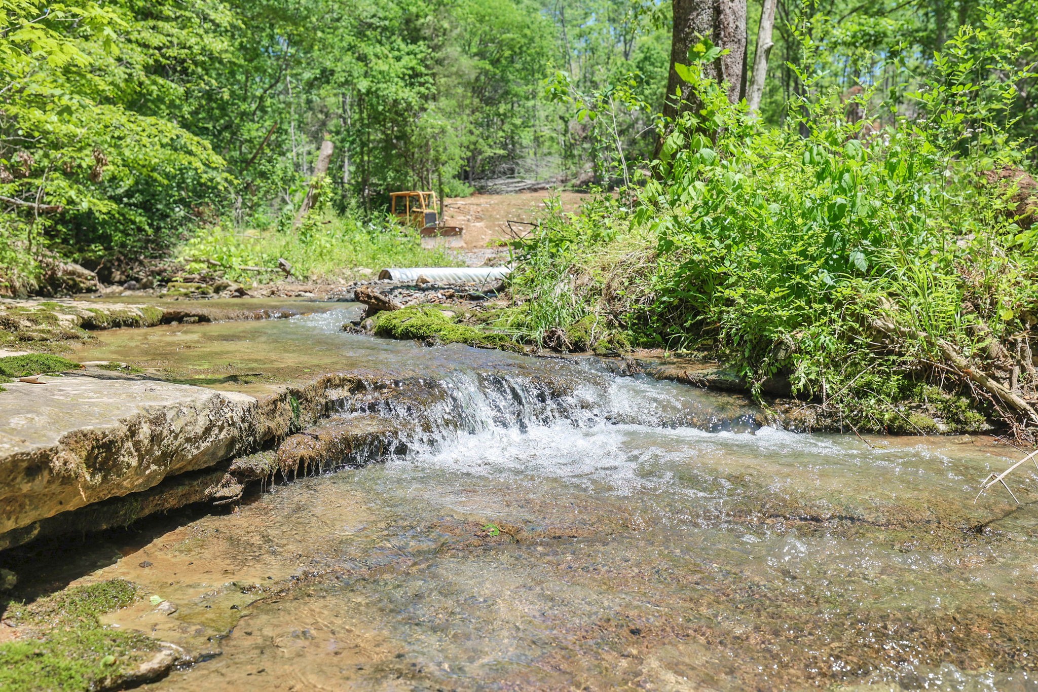 660 Rogues Fork Road Bethpage, TN 37022 - Photo 3 of 55 a view of a road with a yard