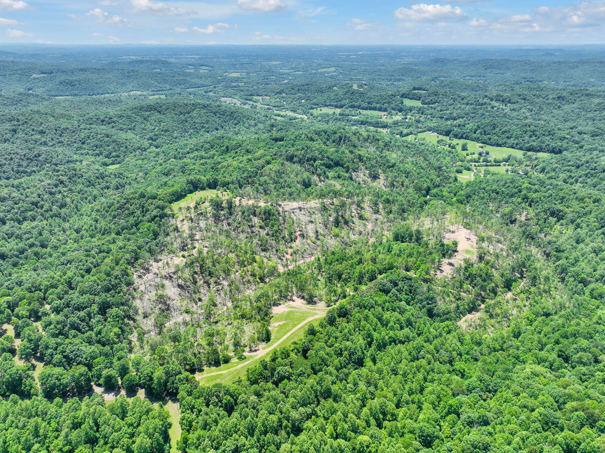 660 Rogues Fork Road Bethpage, TN 37022 - Photo 31 of 55 a view of a field of grass and trees