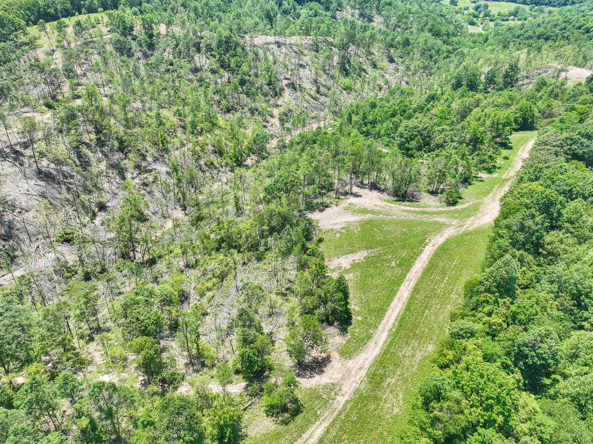 660 Rogues Fork Road Bethpage, TN 37022 - Photo 32 of 55