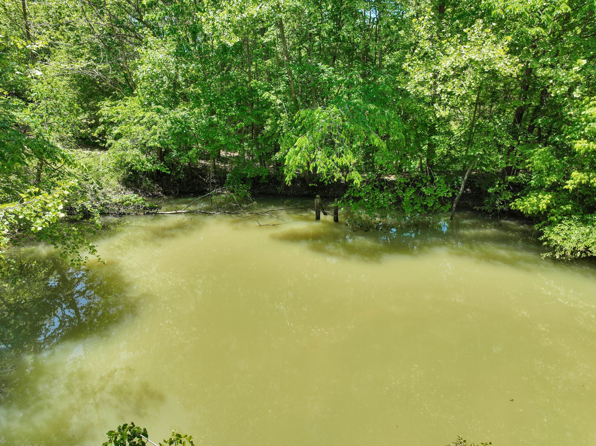 660 Rogues Fork Road Bethpage, TN 37022 - Photo 33 of 55