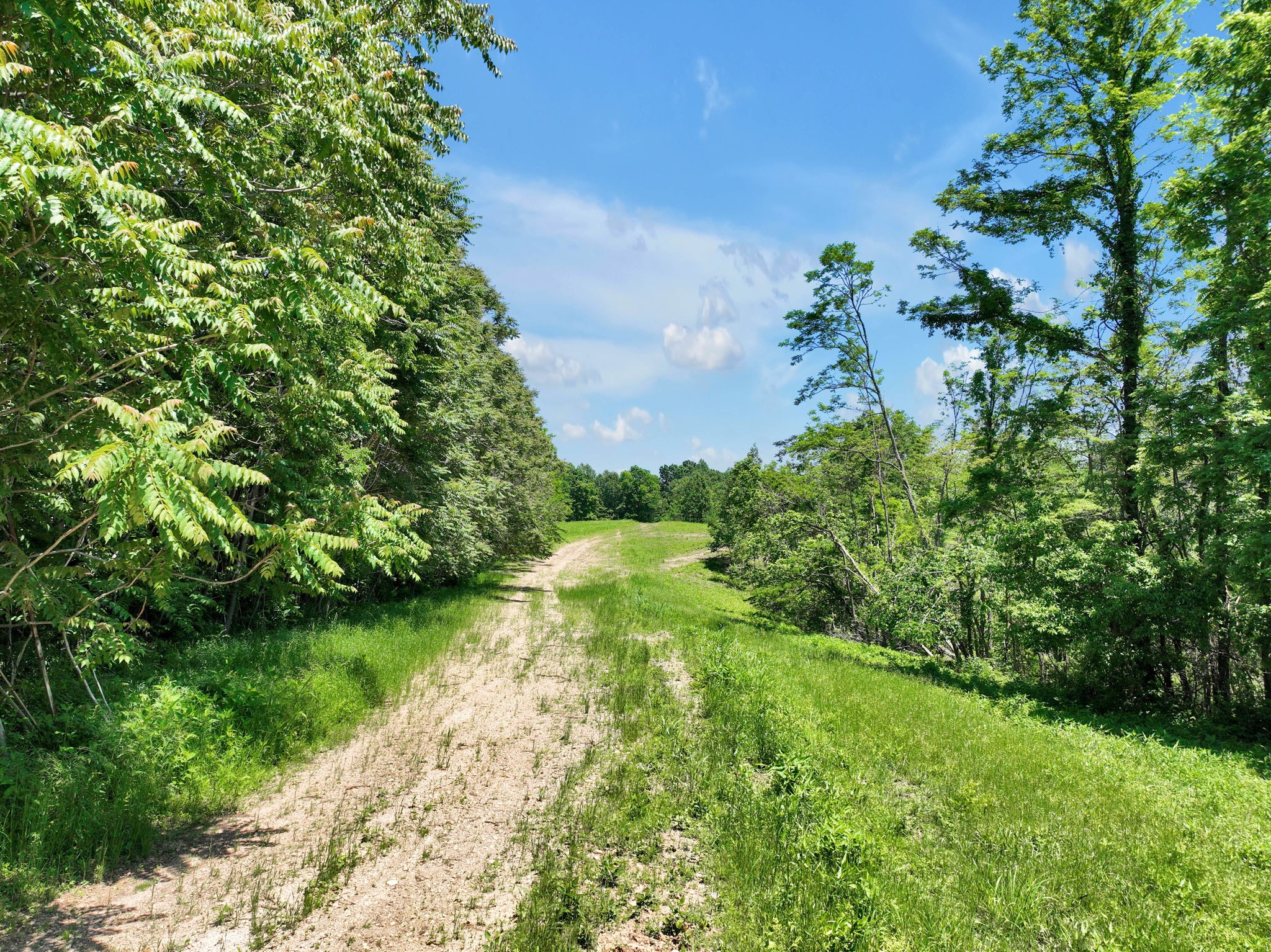 660 Rogues Fork Road Bethpage, TN 37022 - Photo 35 of 55 a view of yard with green space