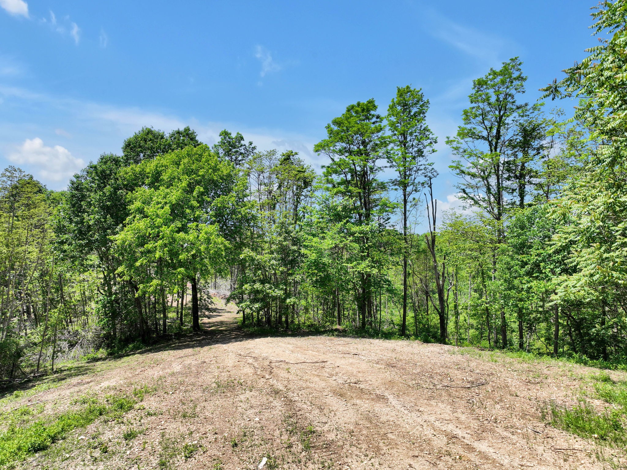 660 Rogues Fork Road Bethpage, TN 37022 - Photo 36 of 55 a view of a yard with plants and trees