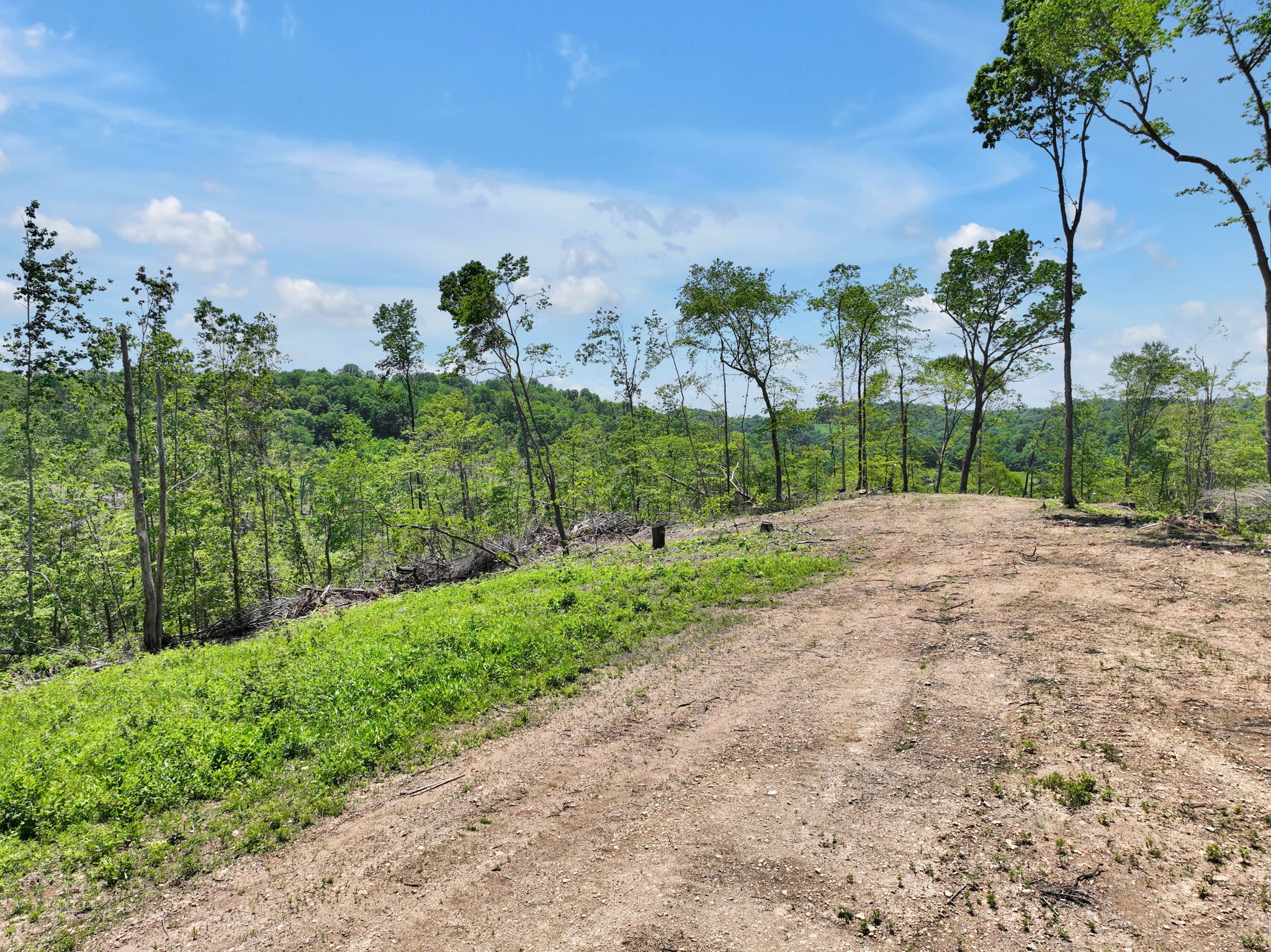 660 Rogues Fork Road Bethpage, TN 37022 - Photo 39 of 55 a view of a garden with a tree