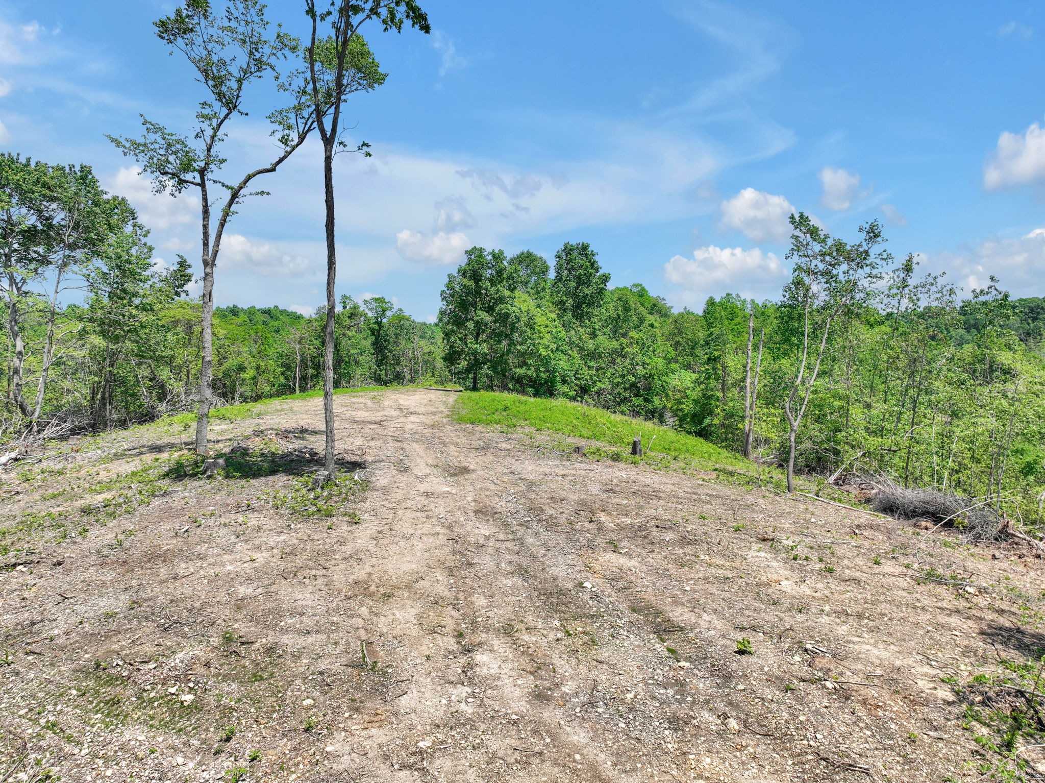 660 Rogues Fork Road Bethpage, TN 37022 - Photo 40 of 55 a backyard of a house with lots of green space