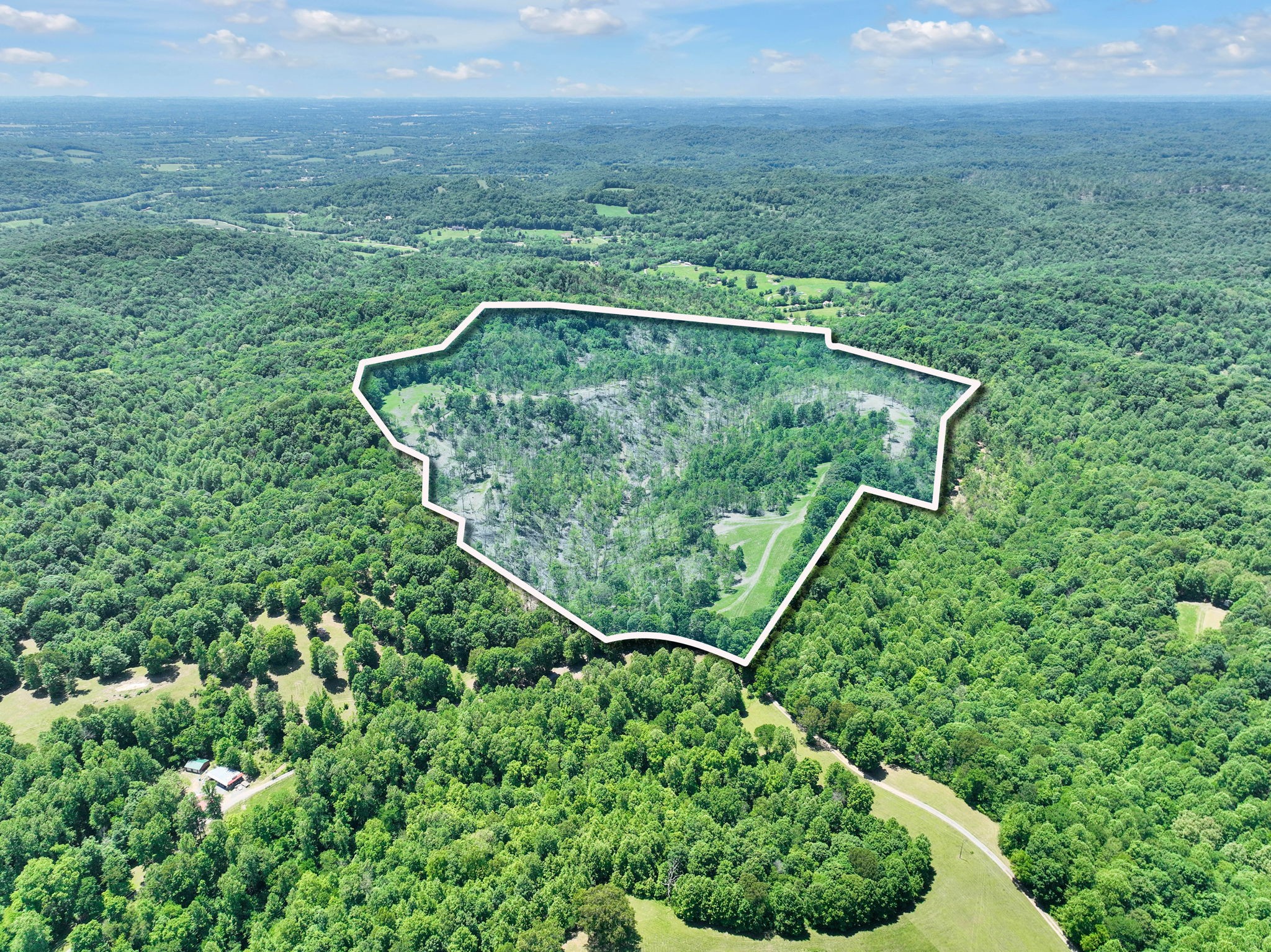 660 Rogues Fork Road Bethpage, TN 37022 - Photo 4 of 55 a view of a lush green field