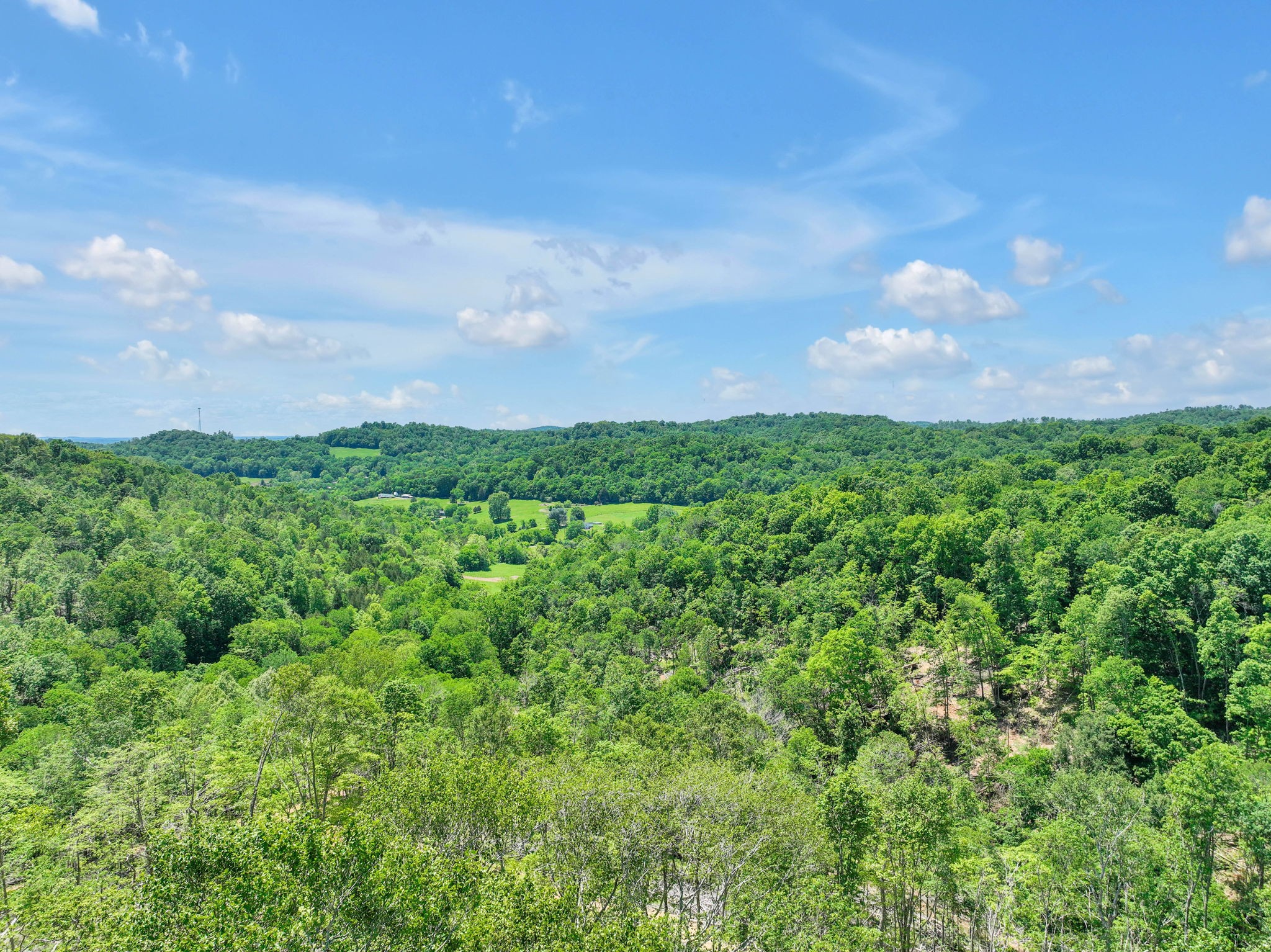 660 Rogues Fork Road Bethpage, TN 37022 - Photo 41 of 55 a view of a big yard with lots of green space