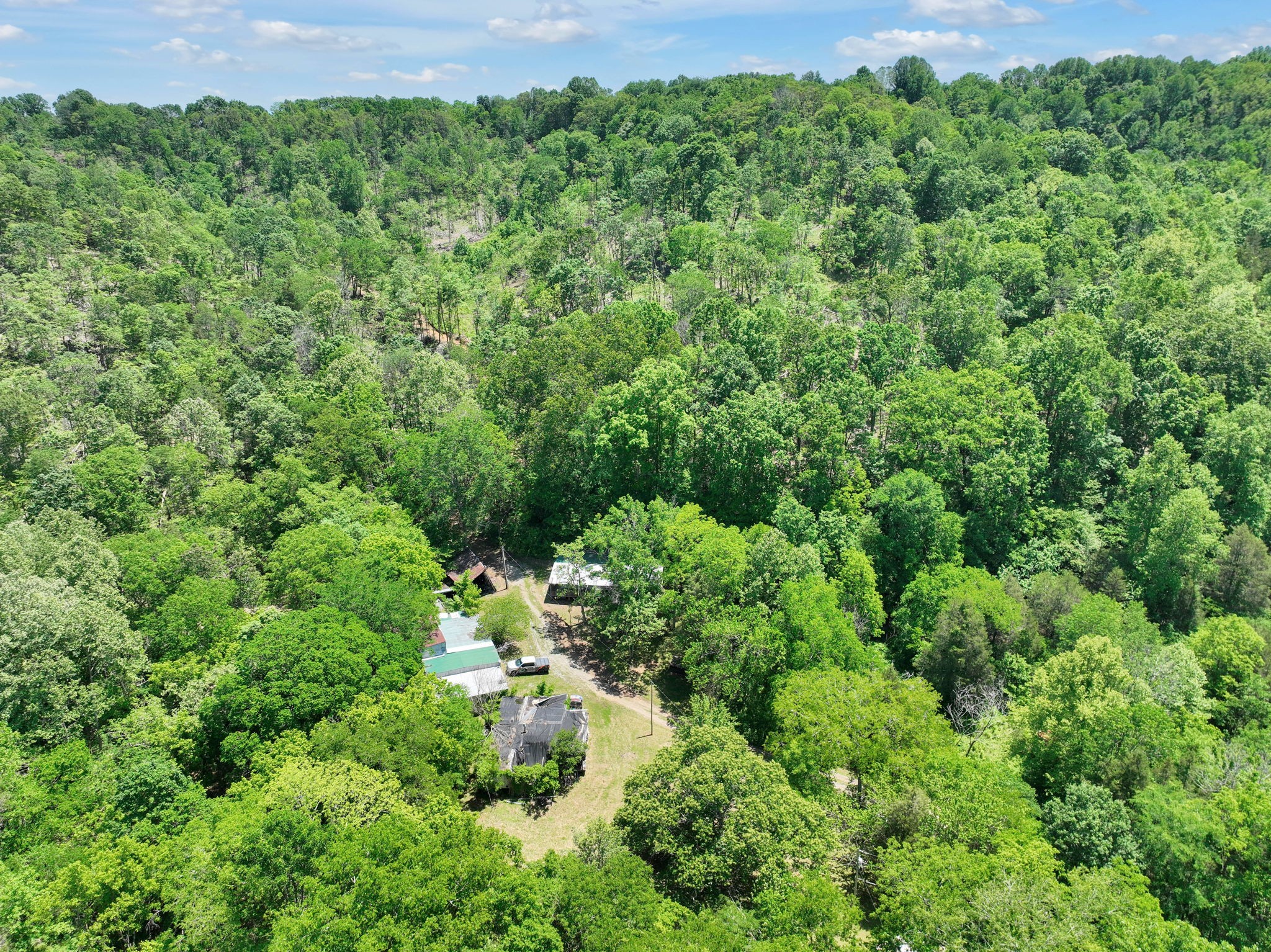 660 Rogues Fork Road Bethpage, TN 37022 - Photo 42 of 55 a view of a garden with a building