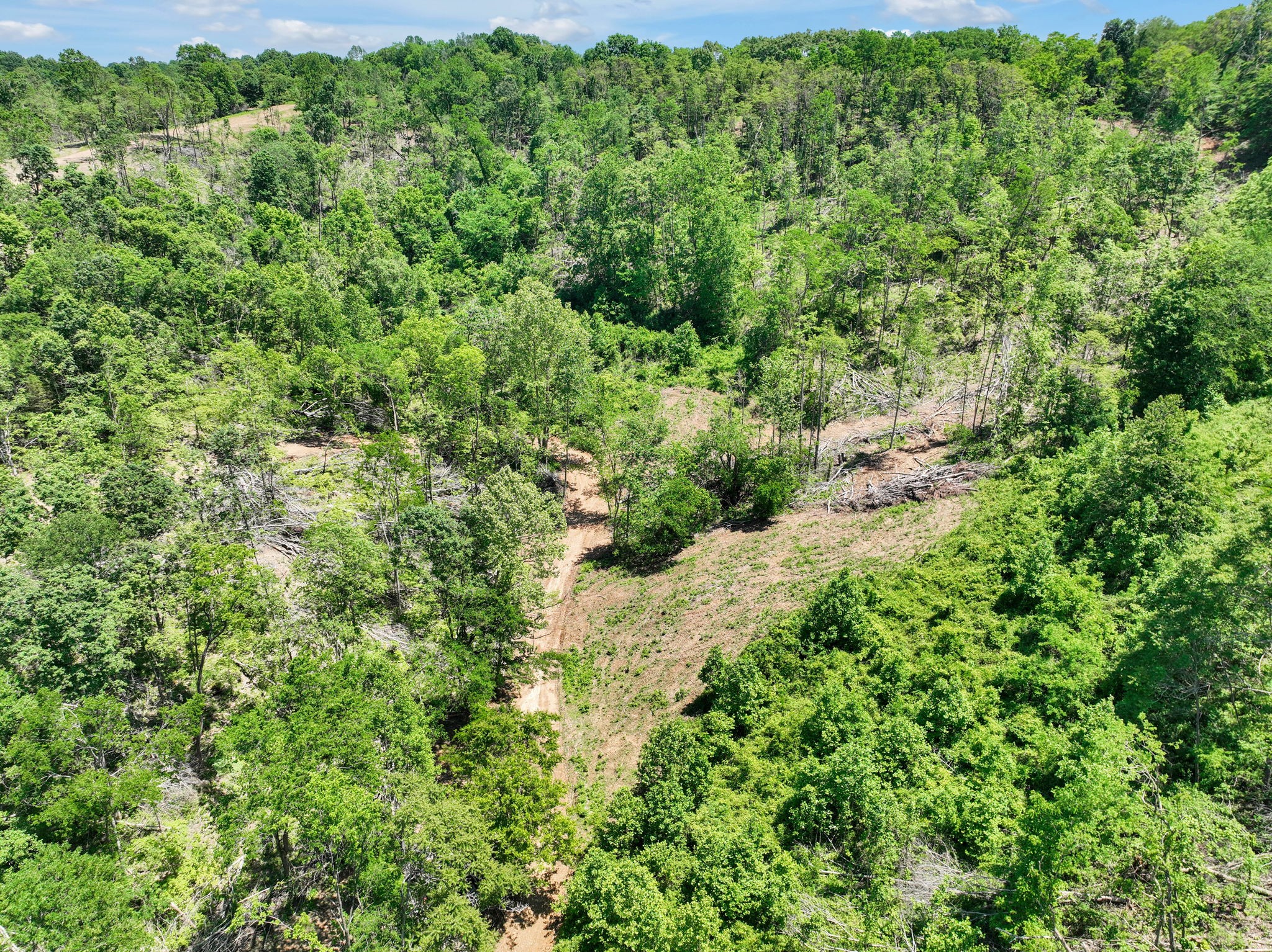 660 Rogues Fork Road Bethpage, TN 37022 - Photo 43 of 55 a view of a lush green forest with houses