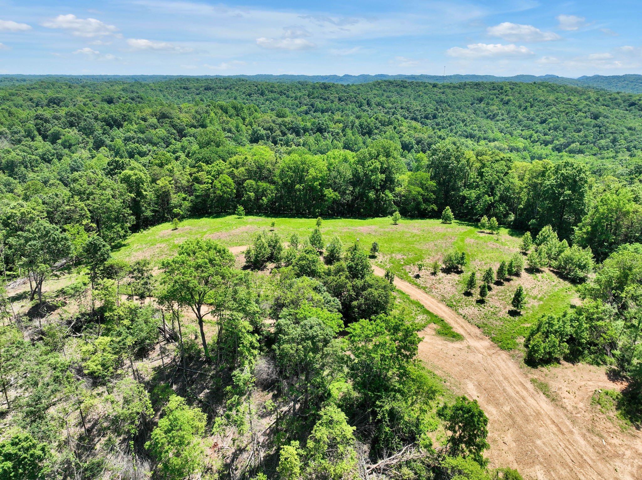 660 Rogues Fork Road Bethpage, TN 37022 - Photo 45 of 55 a view of a garden with a building in the background