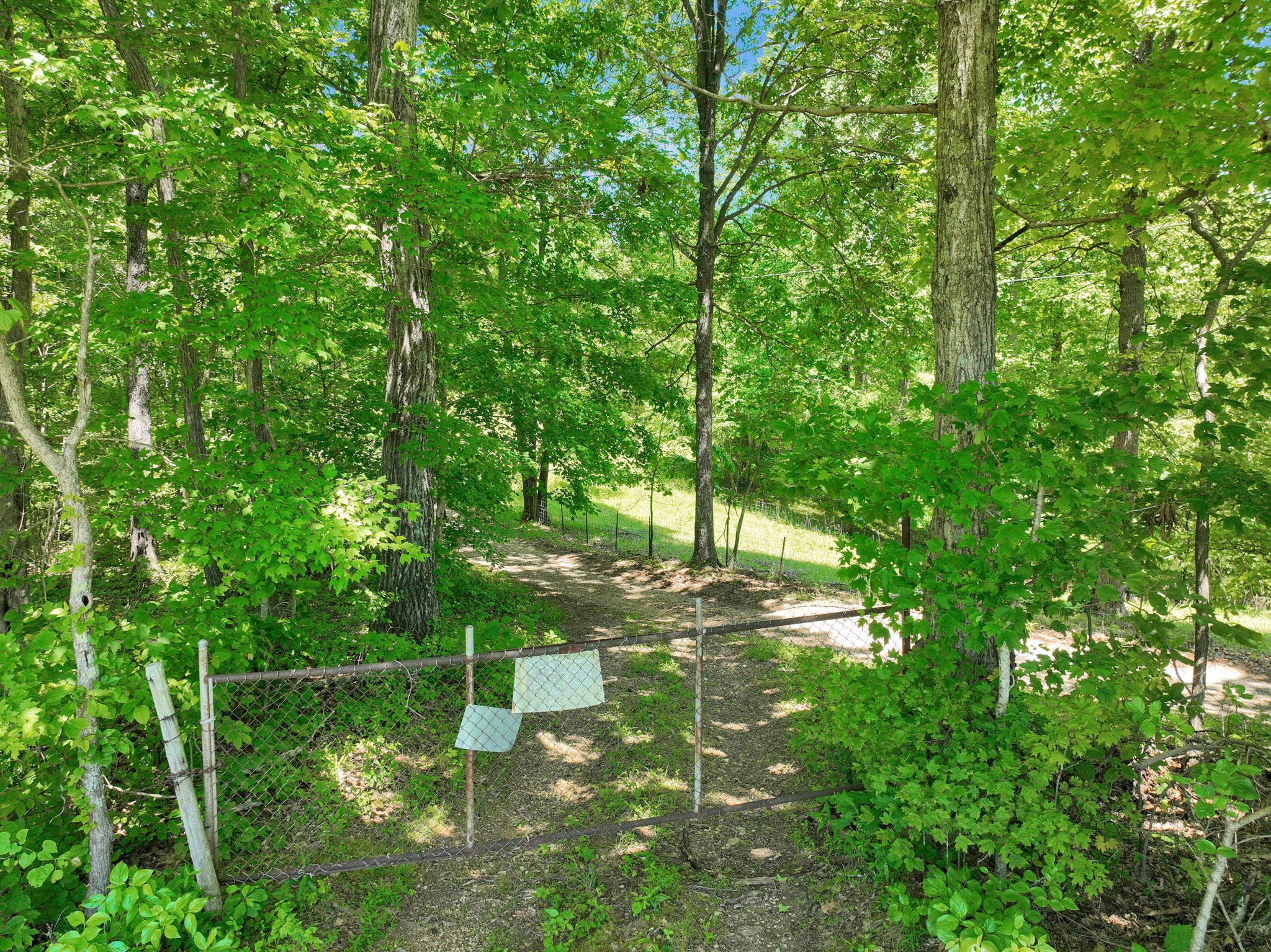 660 Rogues Fork Road Bethpage, TN 37022 - Photo 47 of 55 a view of a water fountain