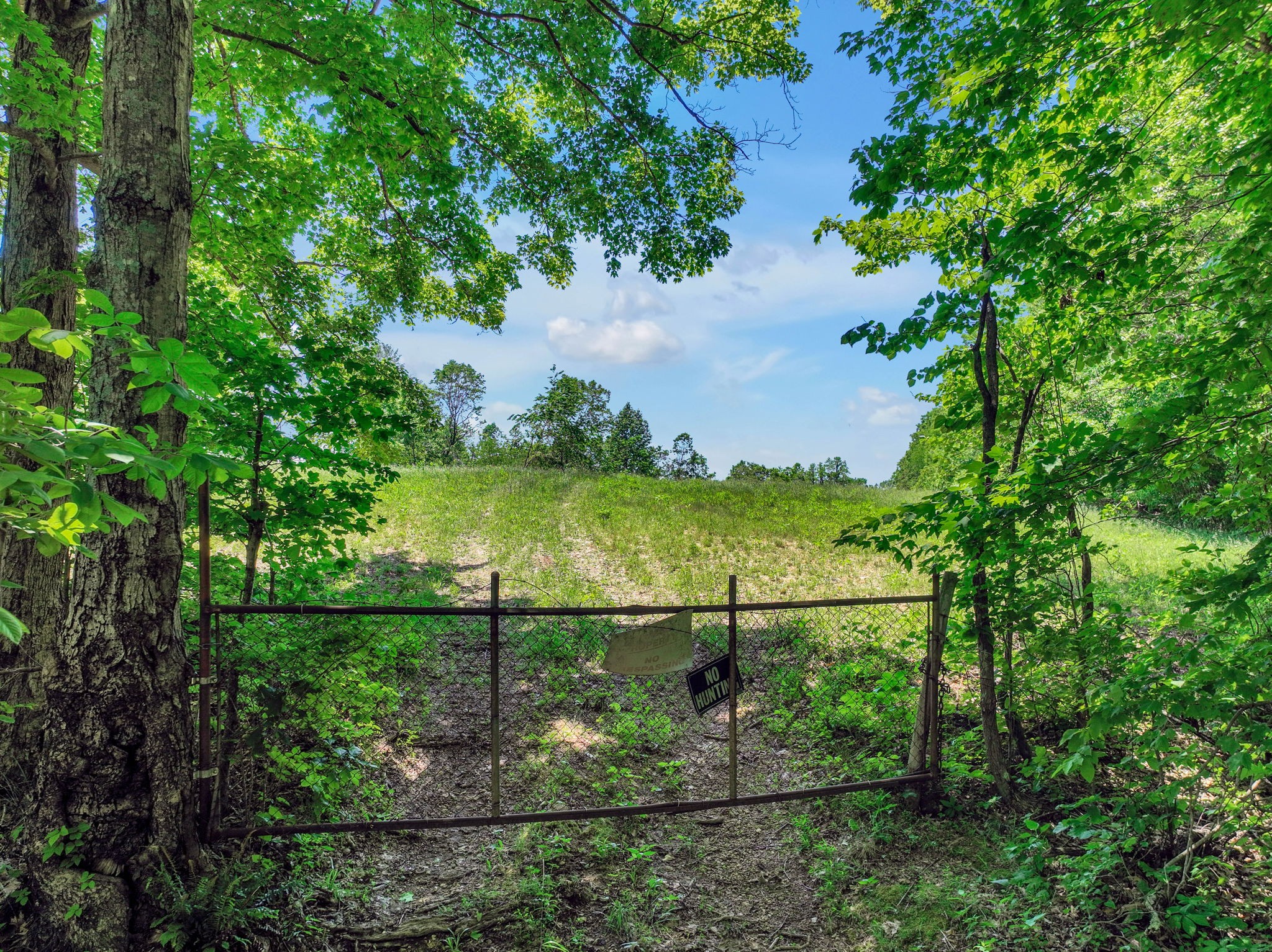 660 Rogues Fork Road Bethpage, TN 37022 - Photo 48 of 55