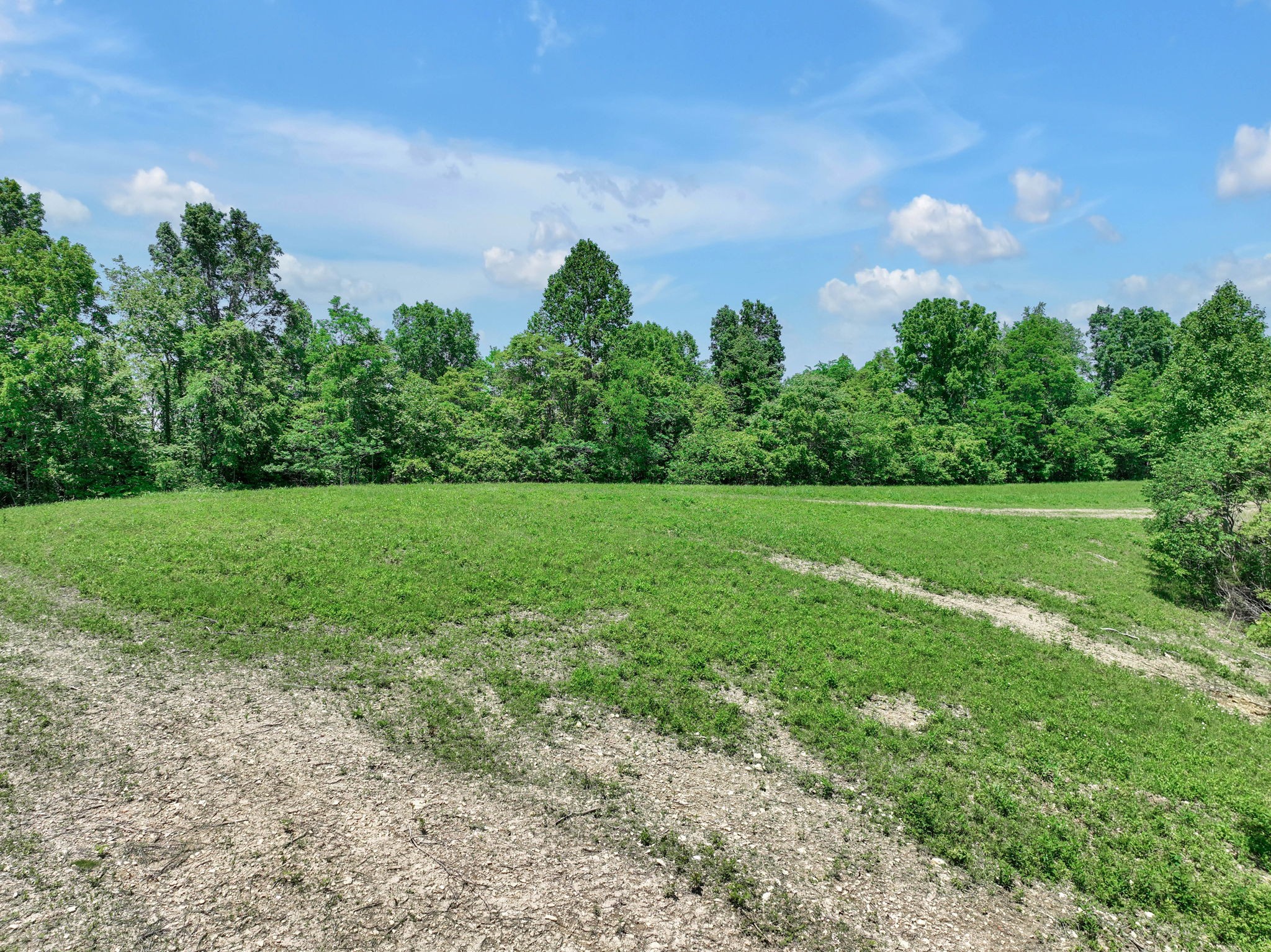 660 Rogues Fork Road Bethpage, TN 37022 - Photo 49 of 55