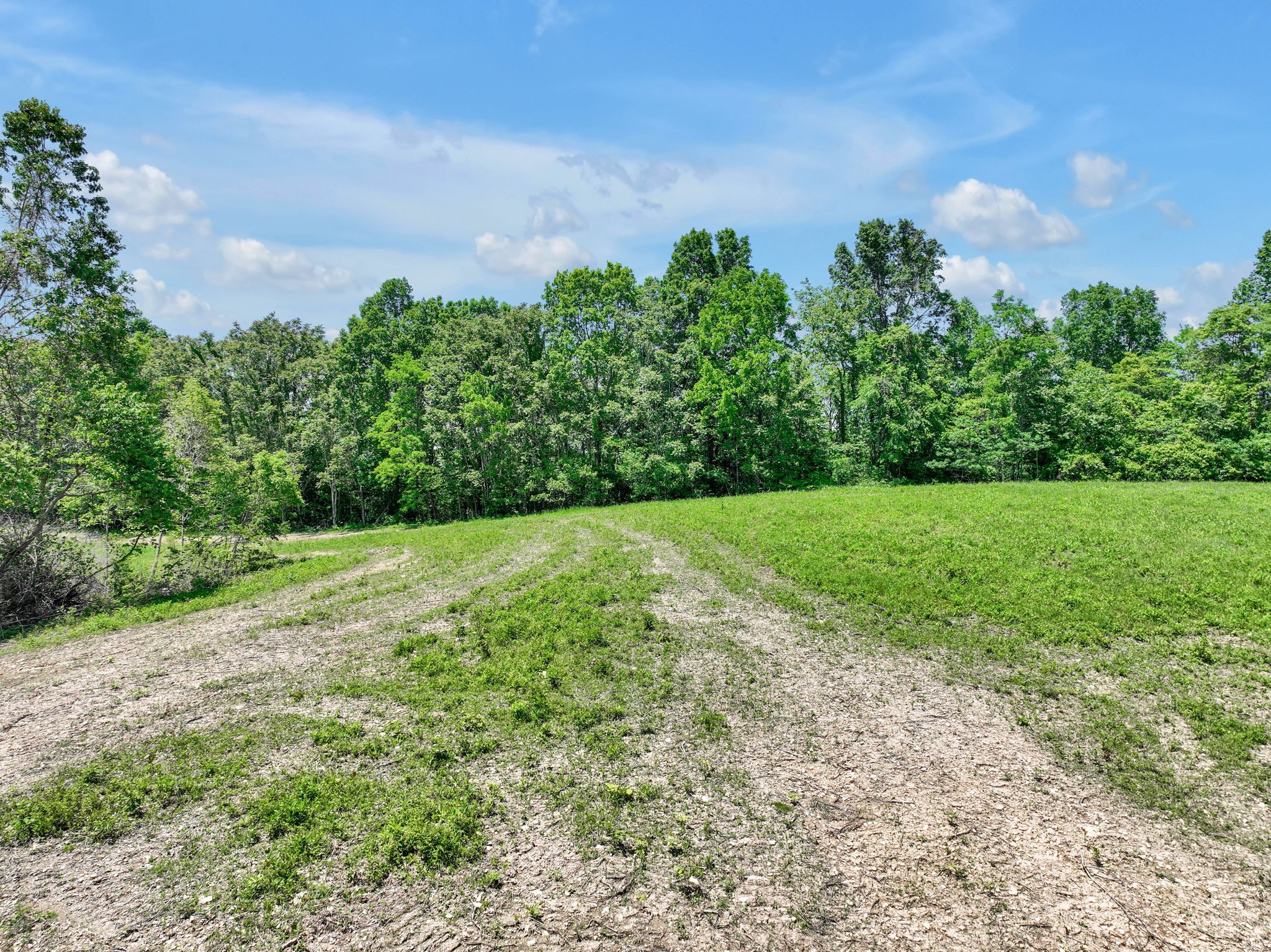 660 Rogues Fork Road Bethpage, TN 37022 - Photo 50 of 55 a view of a garden with an outdoor space