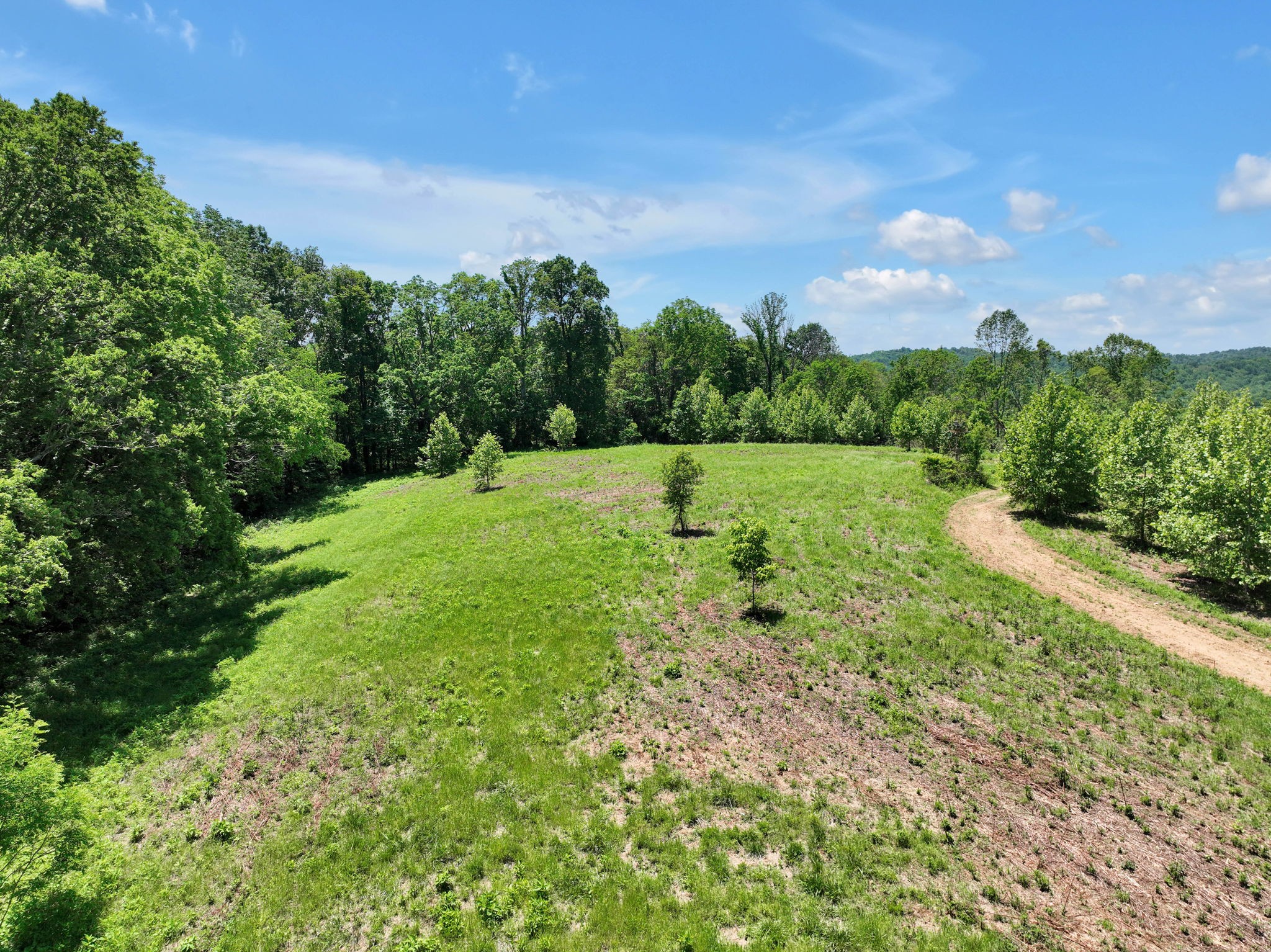 660 Rogues Fork Road Bethpage, TN 37022 - Photo 5 of 55 a view of large trees with a yard