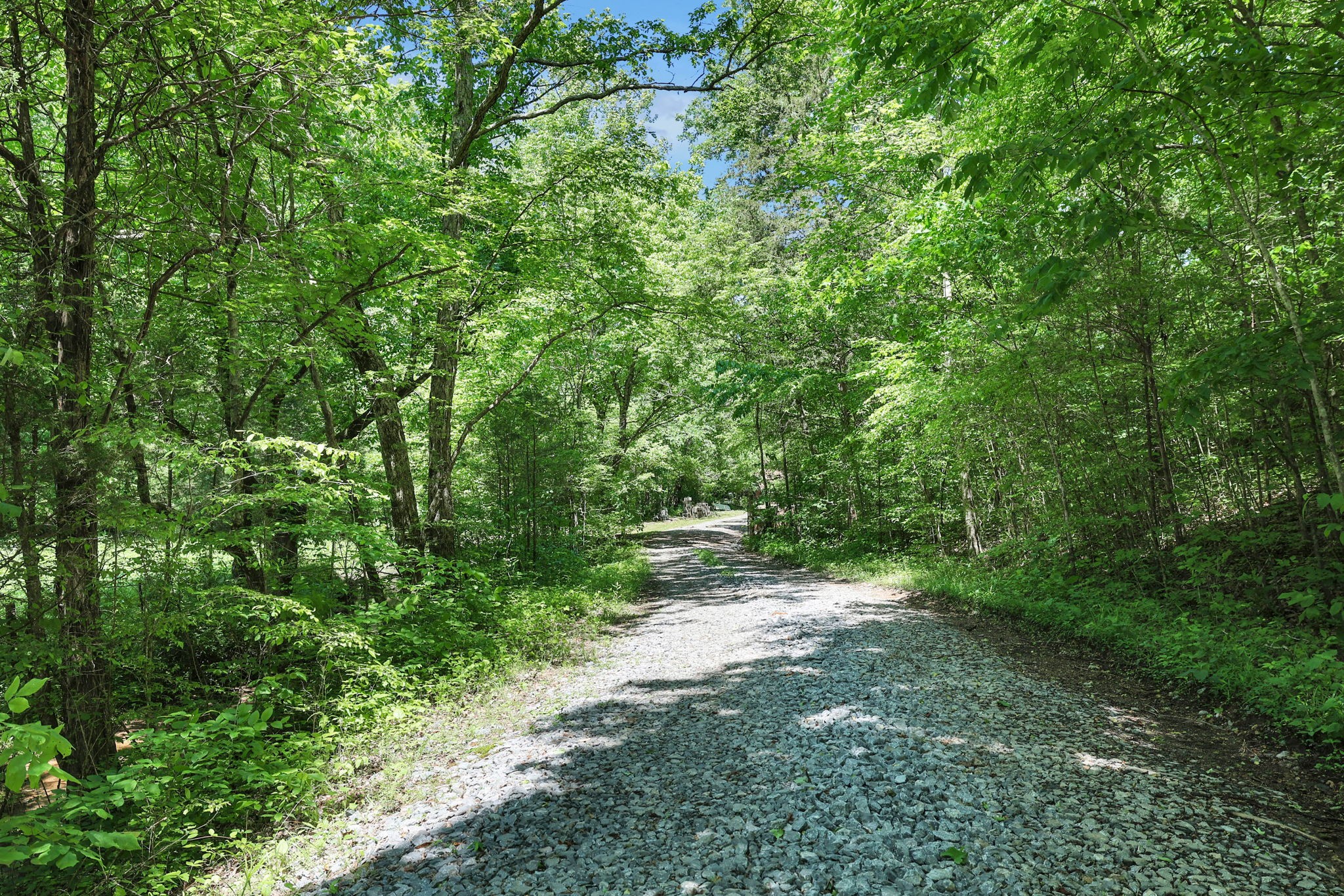 660 Rogues Fork Road Bethpage, TN 37022 - Photo 52 of 55 a view of a forest with trees
