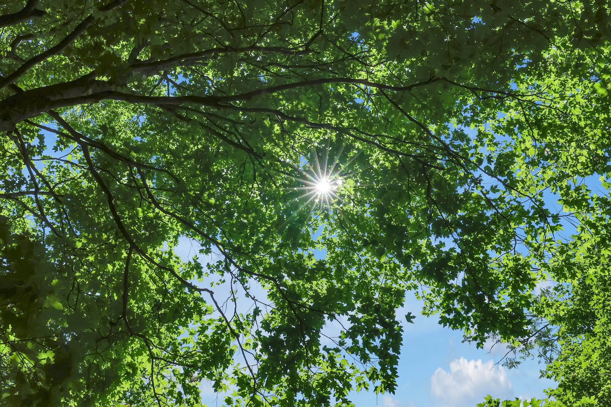 660 Rogues Fork Road Bethpage, TN 37022 - Photo 53 of 55