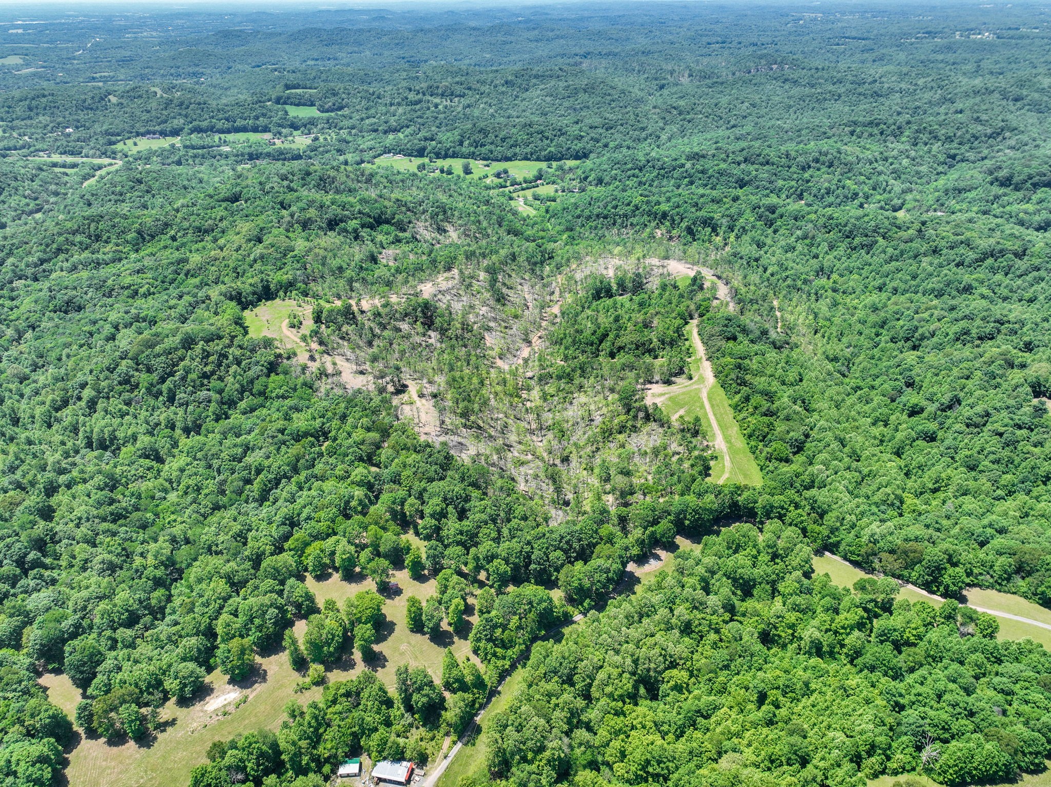 660 Rogues Fork Road Bethpage, TN 37022 - Photo 54 of 55 a view of a lush green forest