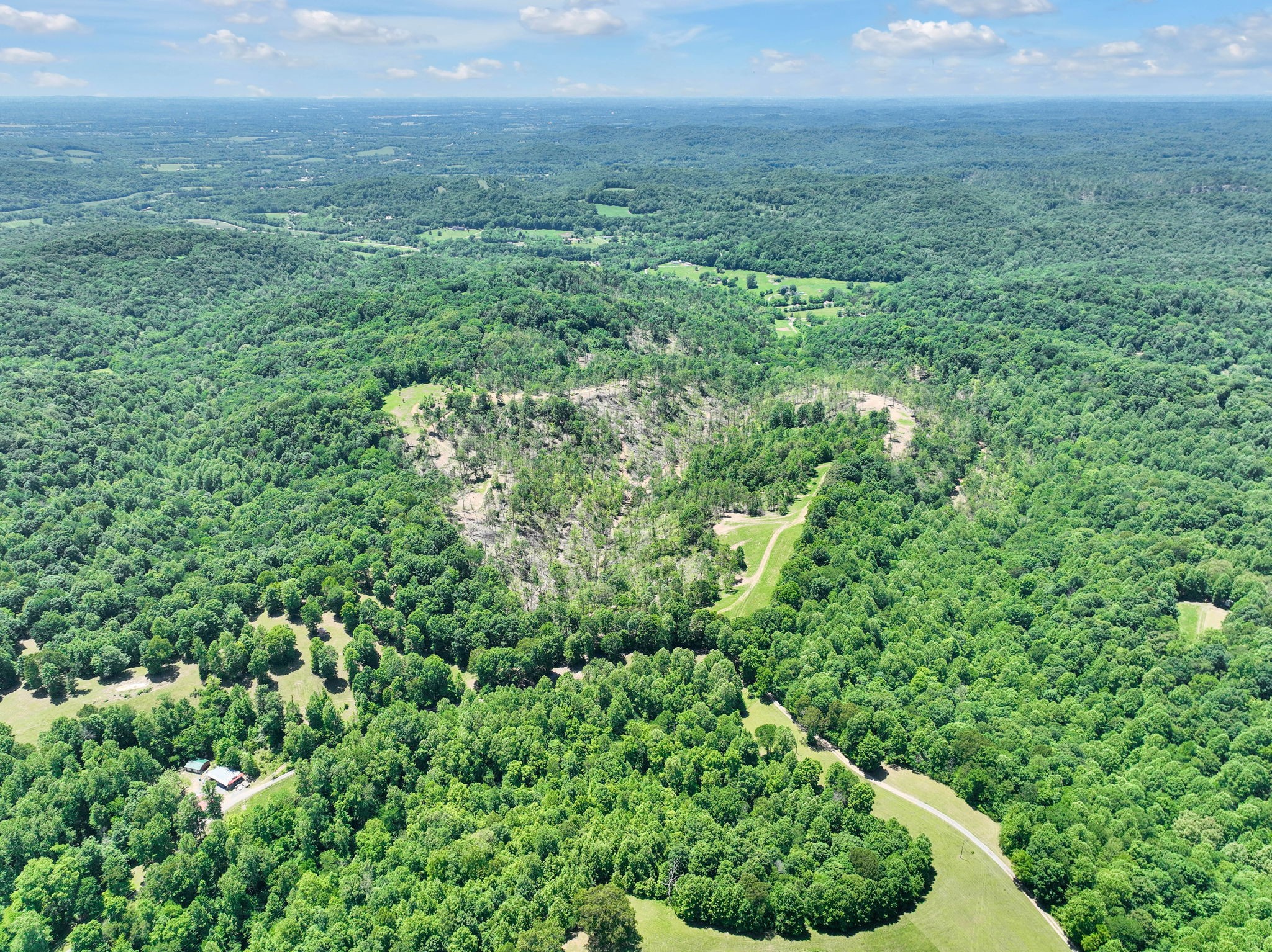 660 Rogues Fork Road Bethpage, TN 37022 - Photo 55 of 55 a view of a garden