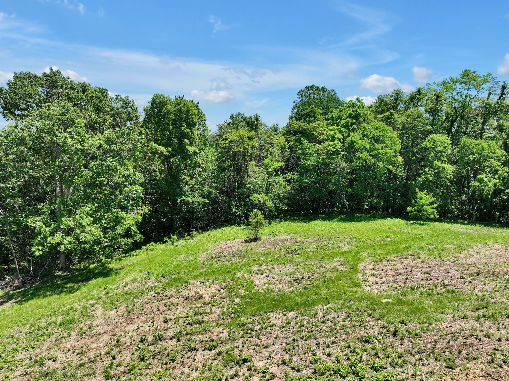 660 Rogues Fork Road Bethpage, TN 37022 - Photo 6 of 55 a backyard of a house with lots of green space and chair