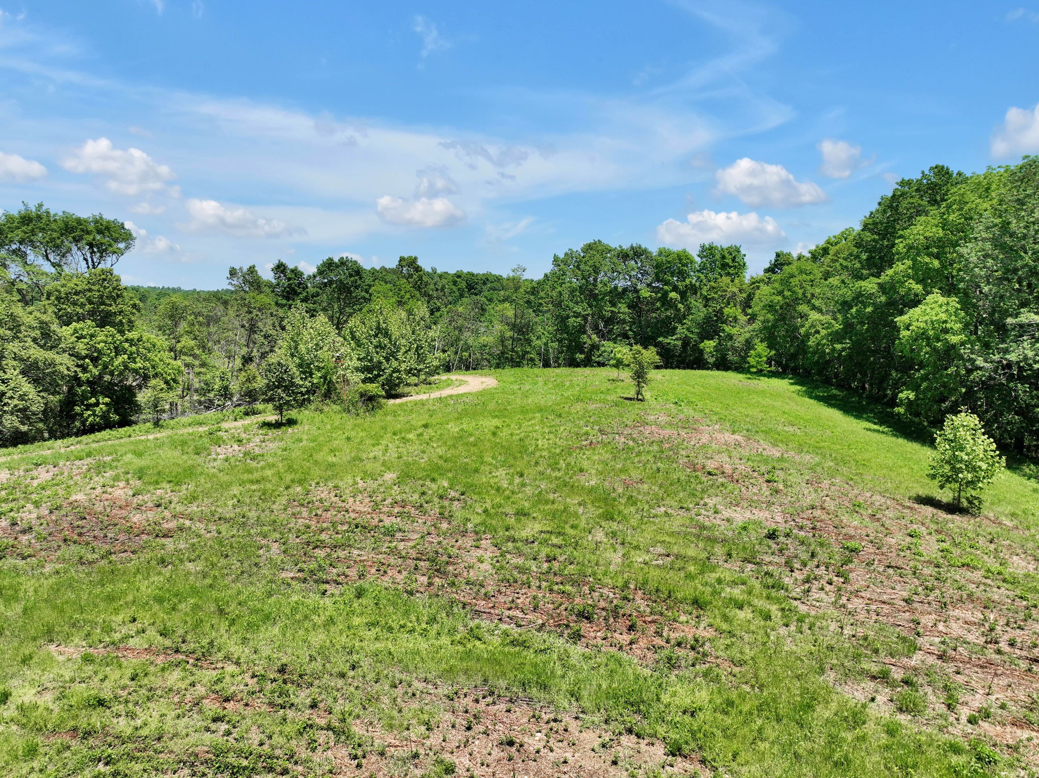 660 Rogues Fork Road Bethpage, TN 37022 - Photo 7 of 55 a big yard with lots of green space and plants