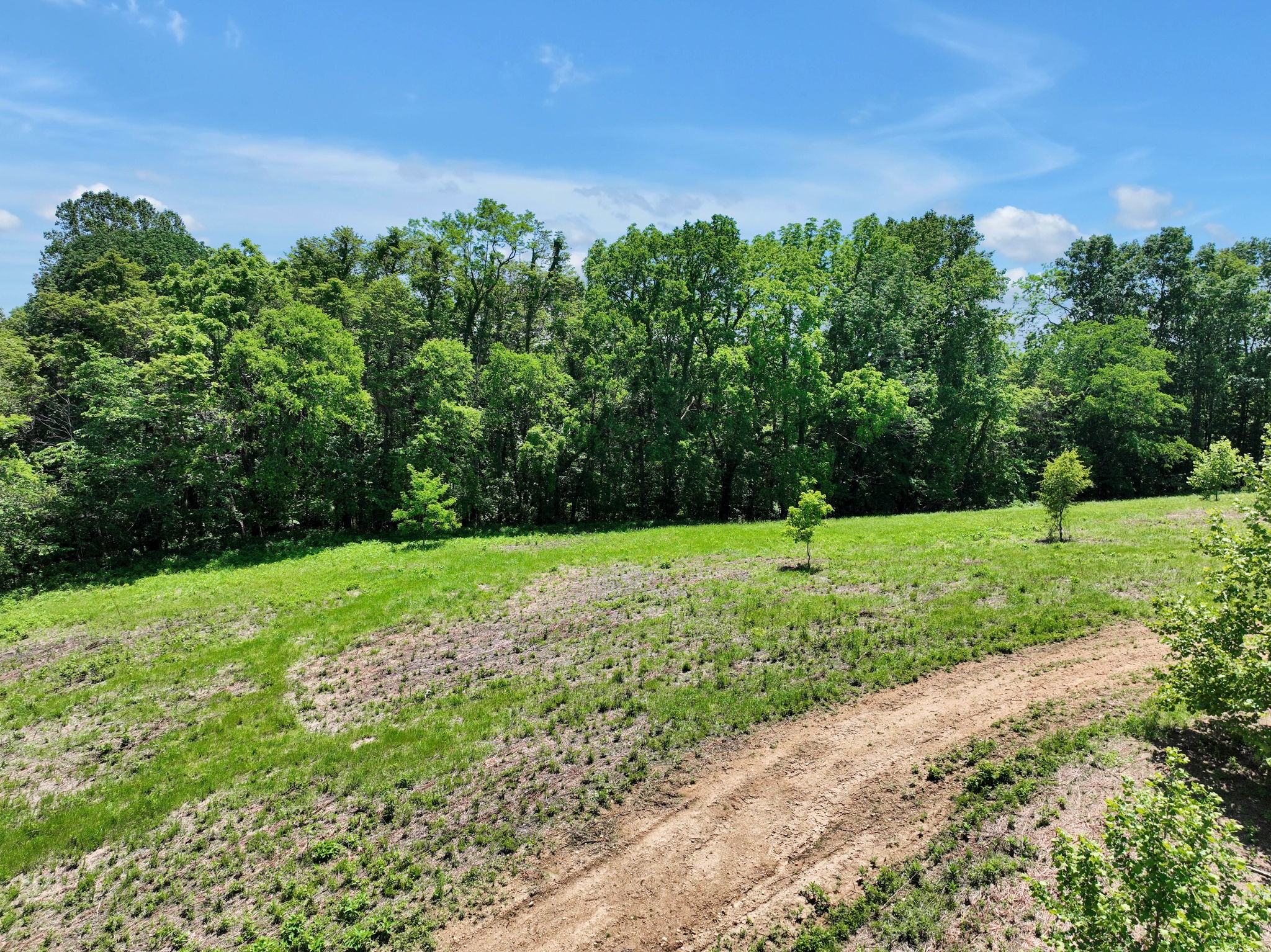 660 Rogues Fork Road Bethpage, TN 37022 - Photo 8 of 55 a view of a park with large trees