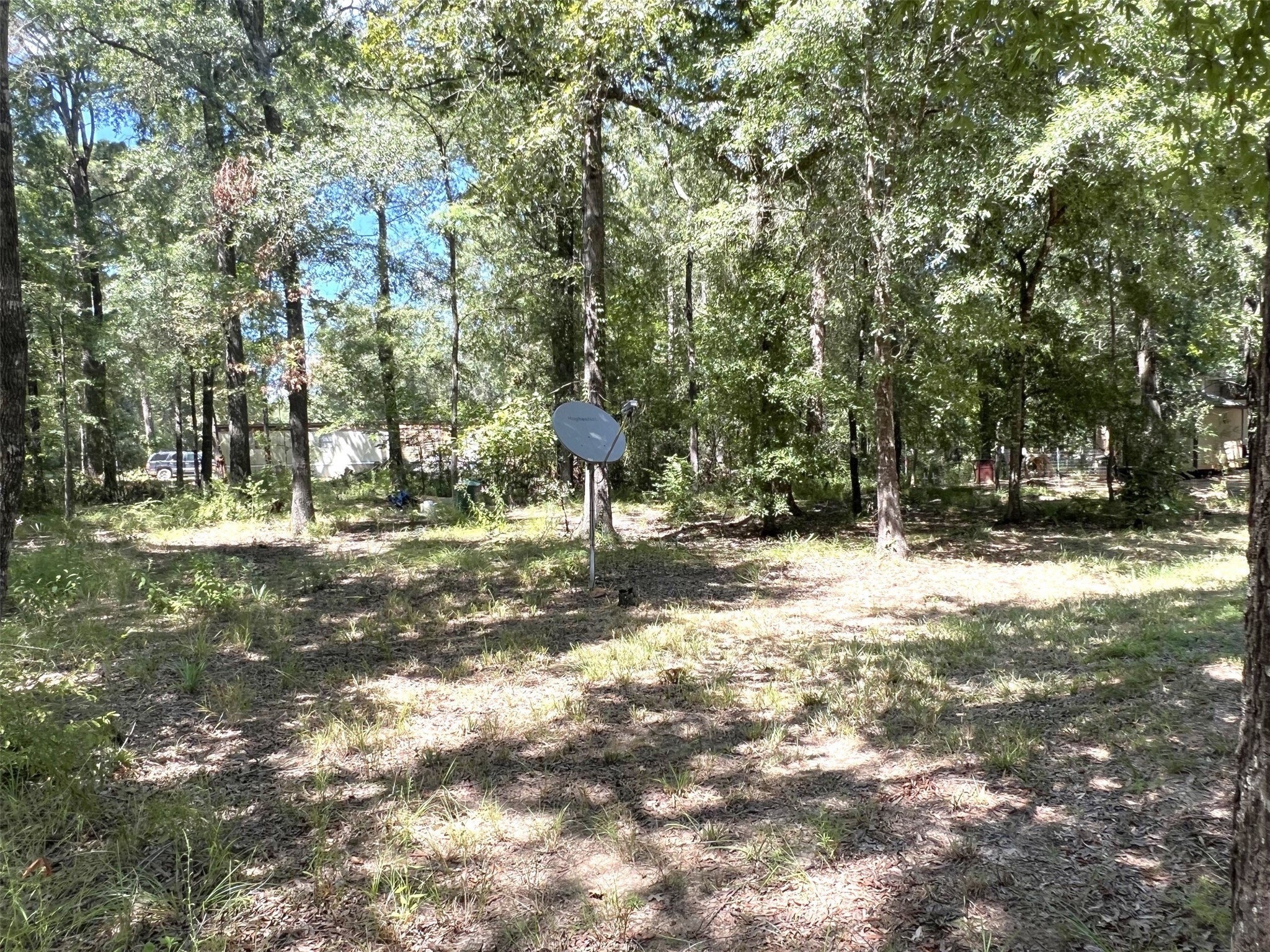 204 Knottypine Livingston, TX 77351 - Photo 6 of 30 a view of outdoor space with deck and trees