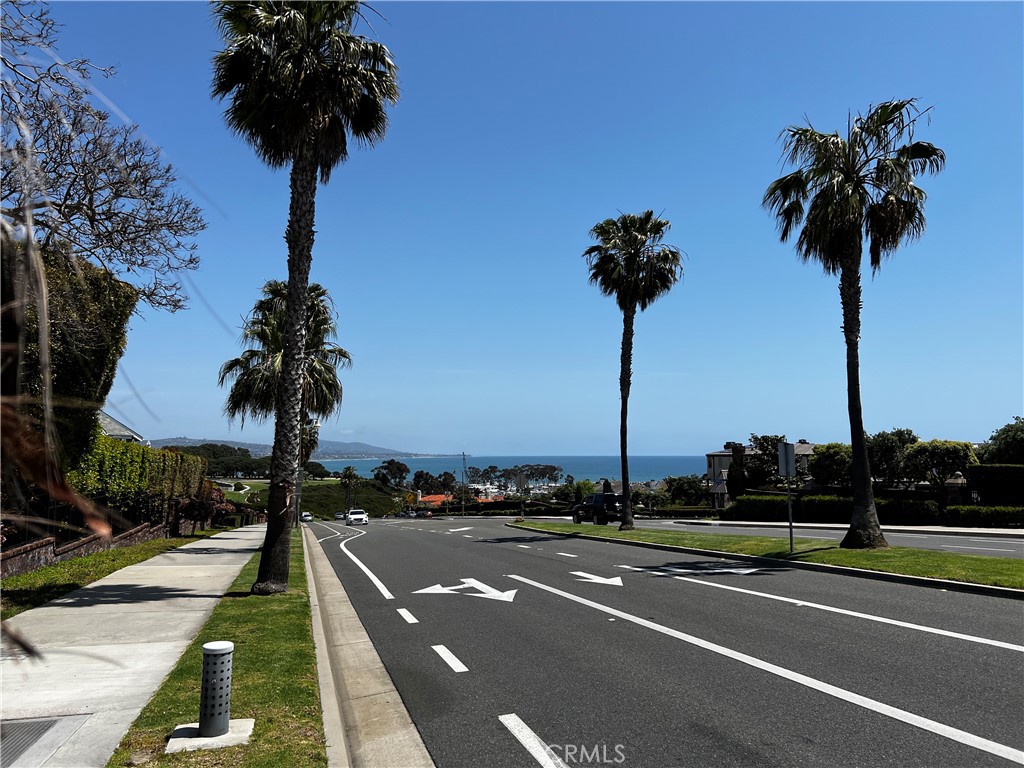 17 Centre Court Dana Point, CA 92629 - Photo 32 of 45 a view of a tennis court with palm trees