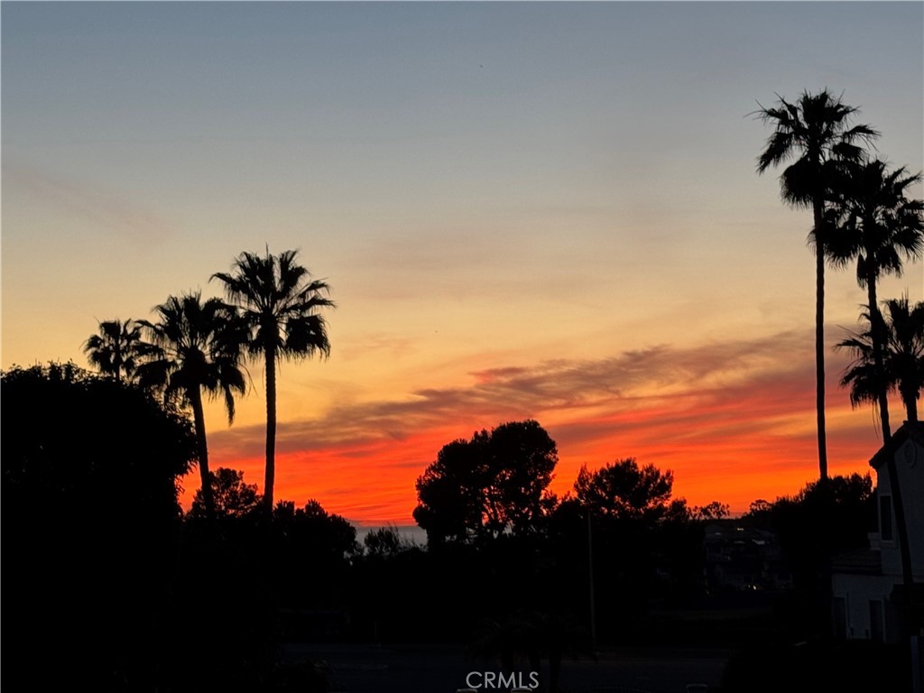 17 Centre Court Dana Point, CA 92629 - Photo 39 of 45