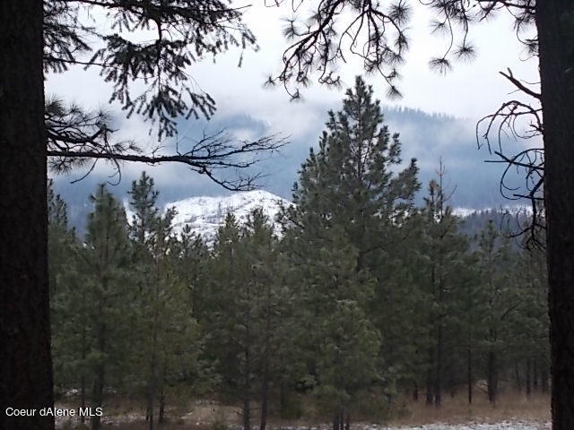 0 East Nunn Road Athol, ID 83801 - Photo 1 of 1 View