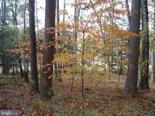 Lot 3 Merlin Road Phoenixville, PA 19460 - Photo 3 of 4 Gallery Image 3