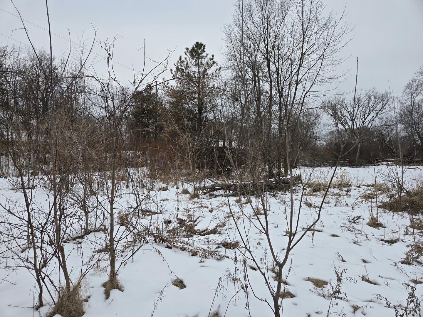 18010 Highway 176 Union, IL 60180 - Photo 12 of 12