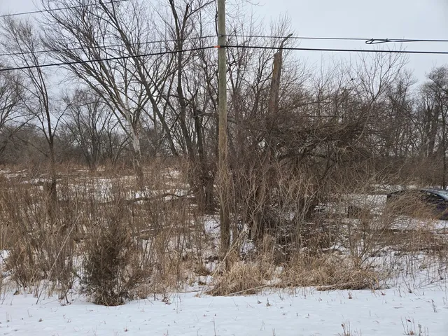 $99,900 | 18010 Highway 176, Union, IL 60180