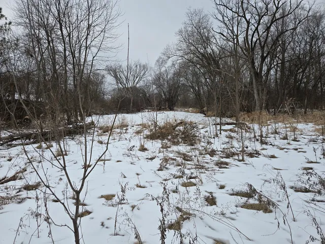 $99,900 | 18010 Highway 176, Union, IL 60180