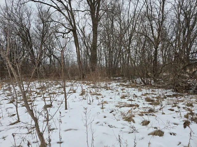 $99,900 | 18010 Highway 176, Union, IL 60180