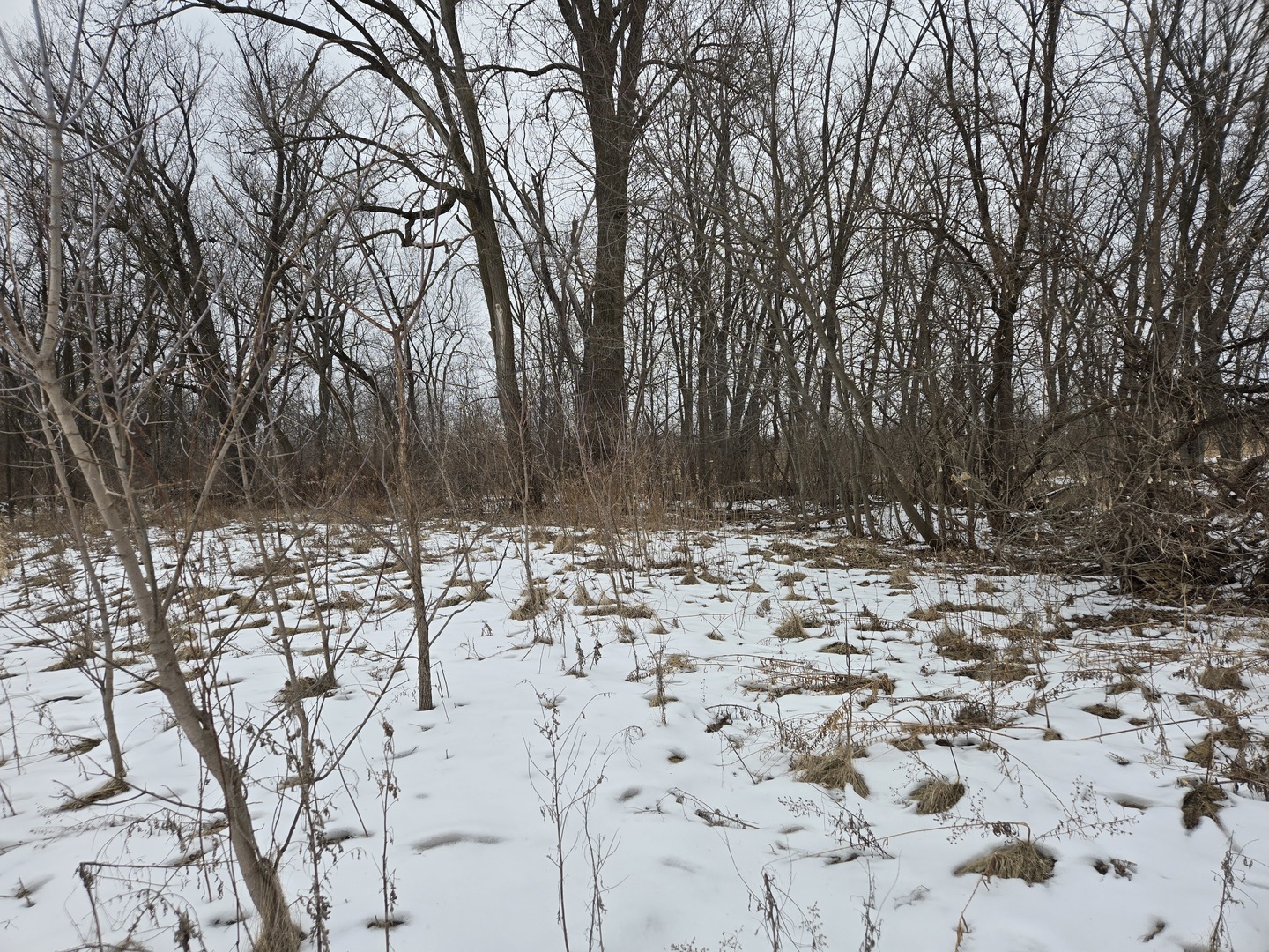 18010 Highway 176 Union, IL 60180 - Photo 10 of 12