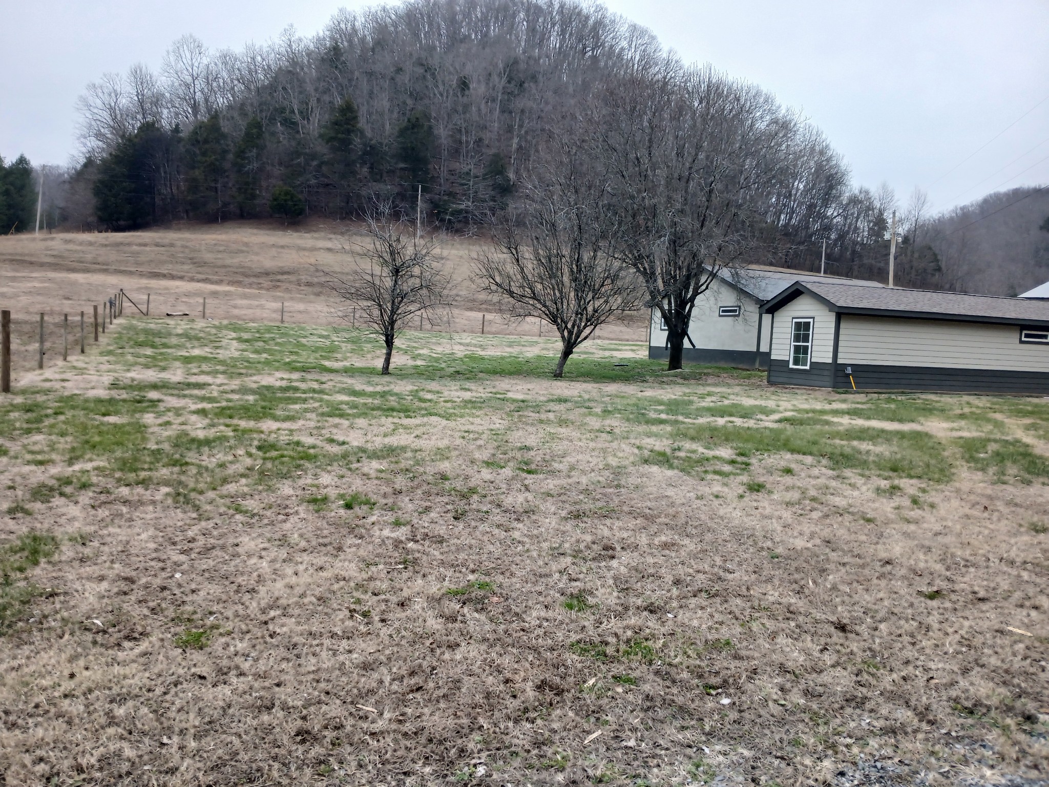 655 Wilmore Hollow Road Pleasant Shade, TN 37145 - Photo 14 of 47 a view of a outdoor space with trees