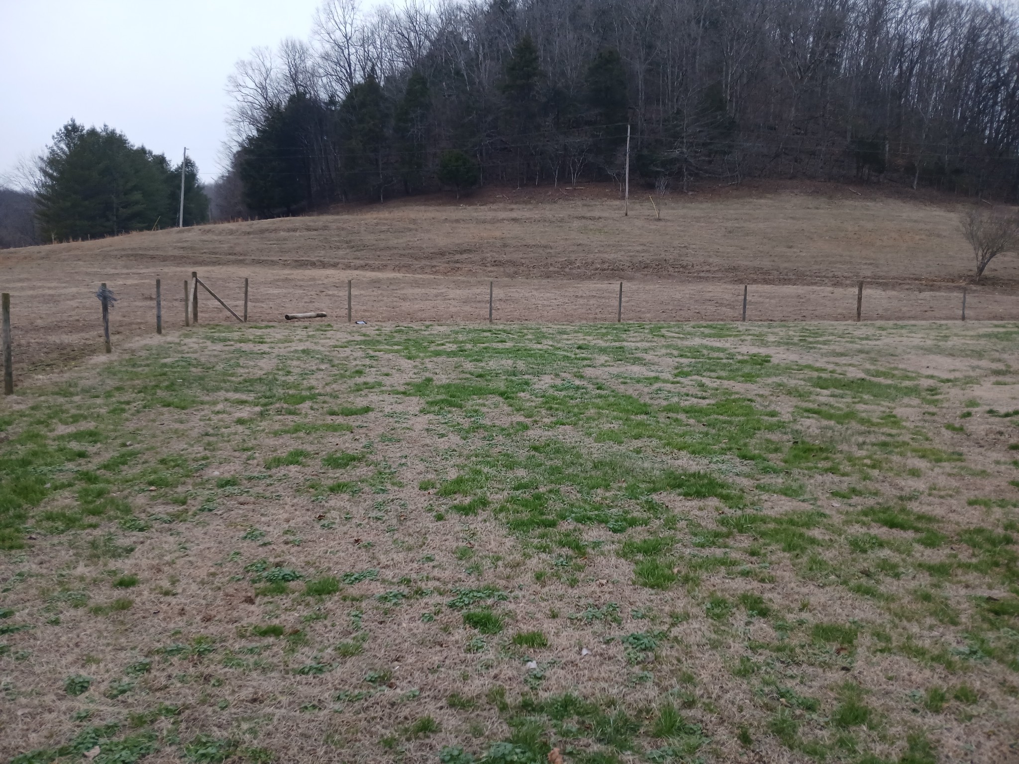 655 Wilmore Hollow Road Pleasant Shade, TN 37145 - Photo 17 of 47 a view of a backyard