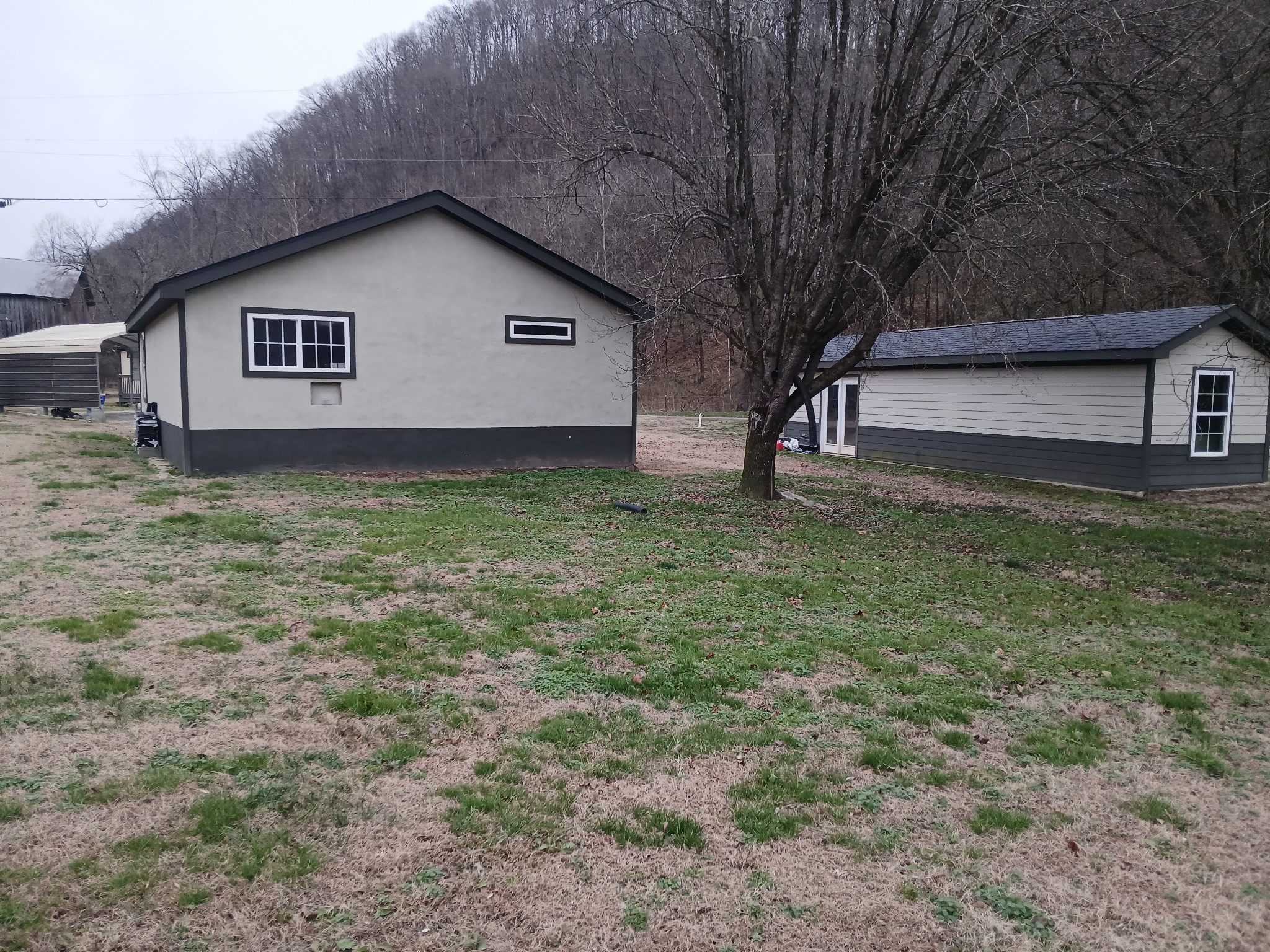 655 Wilmore Hollow Road Pleasant Shade, TN 37145 - Photo 18 of 47 a house with a tree in front of it