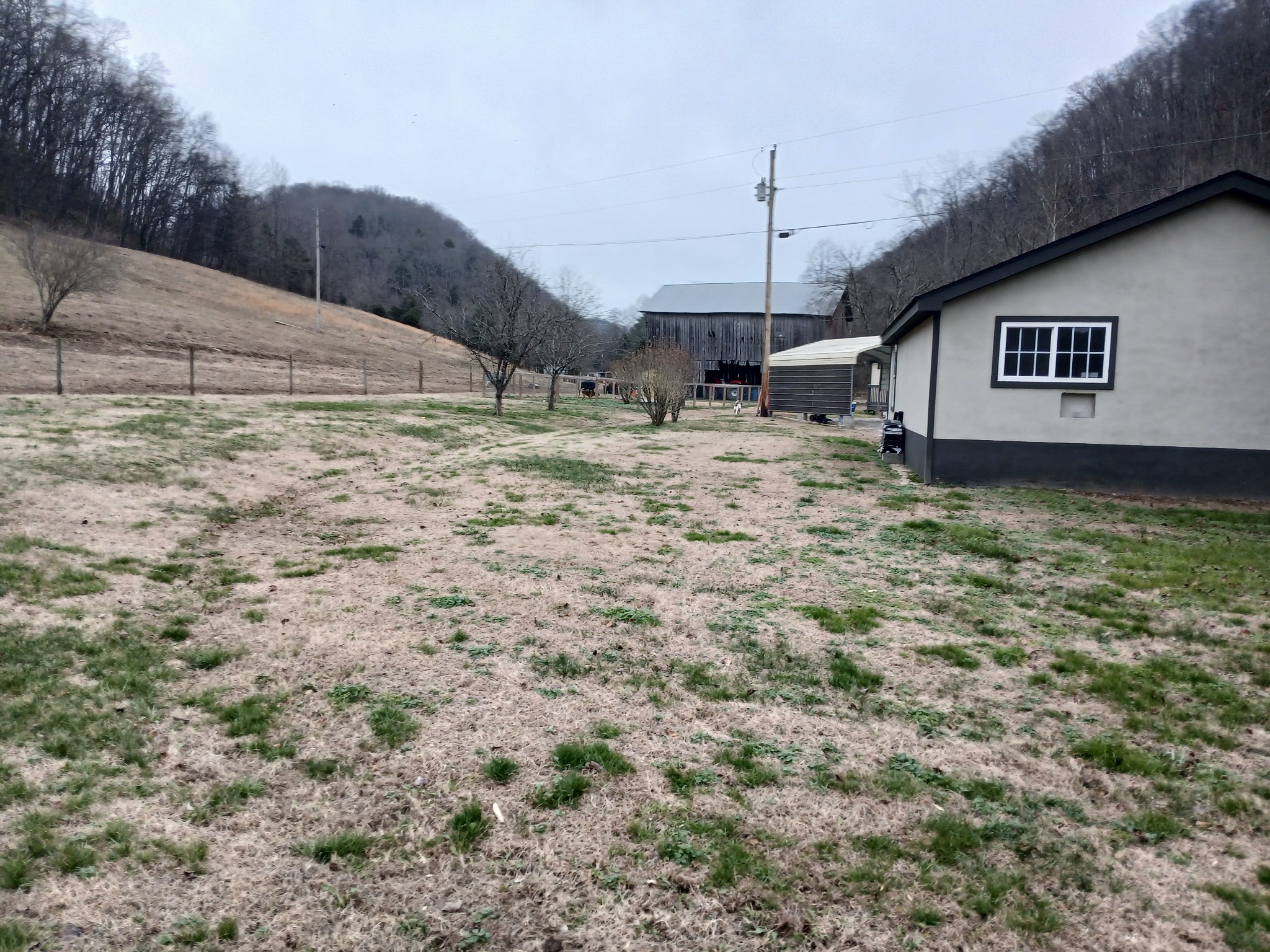 655 Wilmore Hollow Road Pleasant Shade, TN 37145 - Photo 19 of 47 a view of a house with a yard