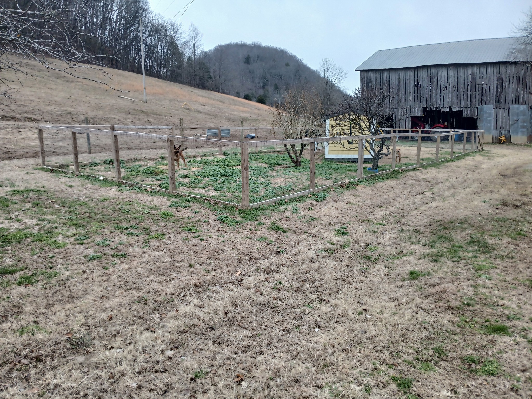 655 Wilmore Hollow Road Pleasant Shade, TN 37145 - Photo 20 of 47 a view of a backyard with chairs and a stove