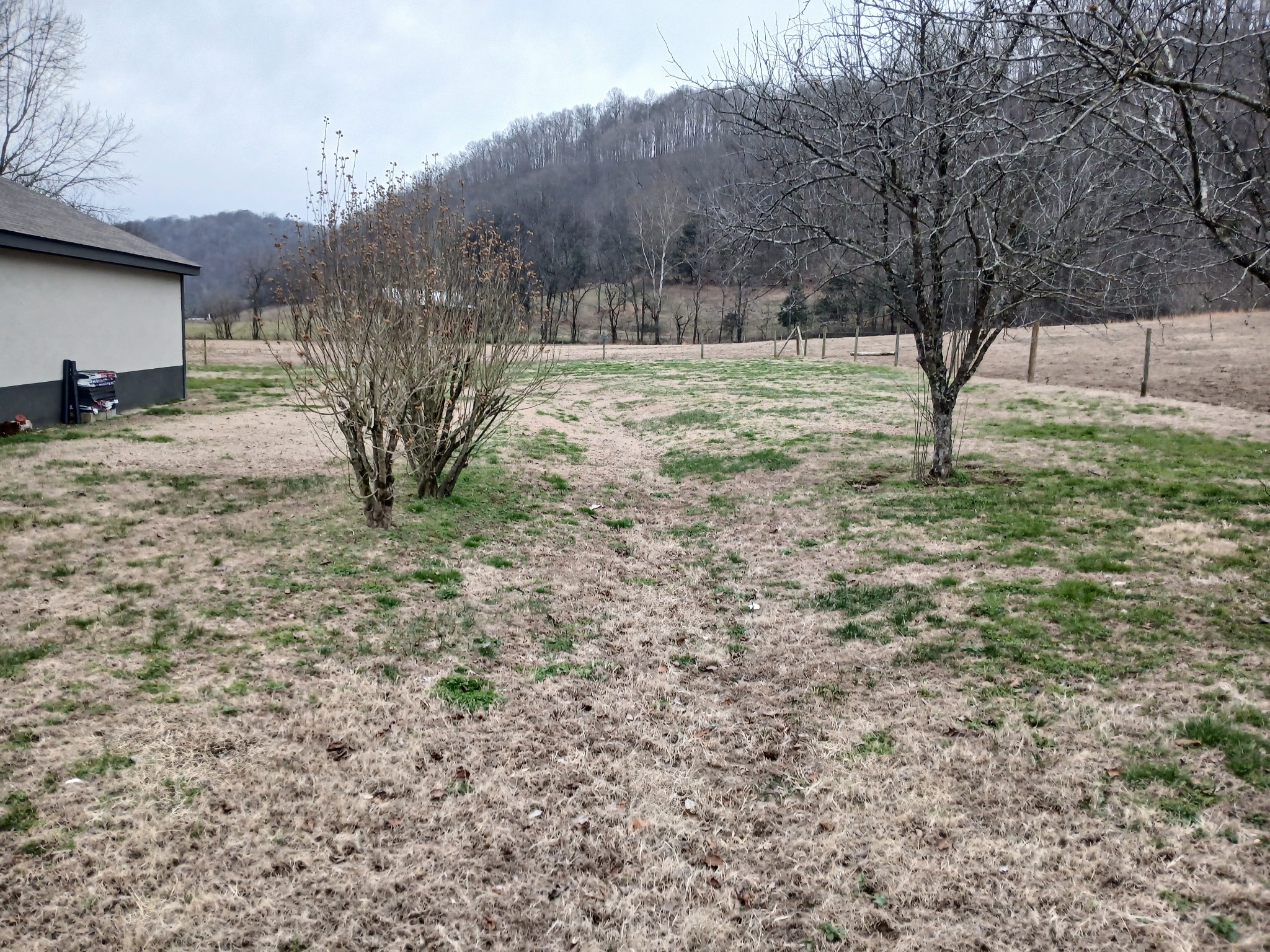 655 Wilmore Hollow Road Pleasant Shade, TN 37145 - Photo 22 of 47 a view of backyard with tree