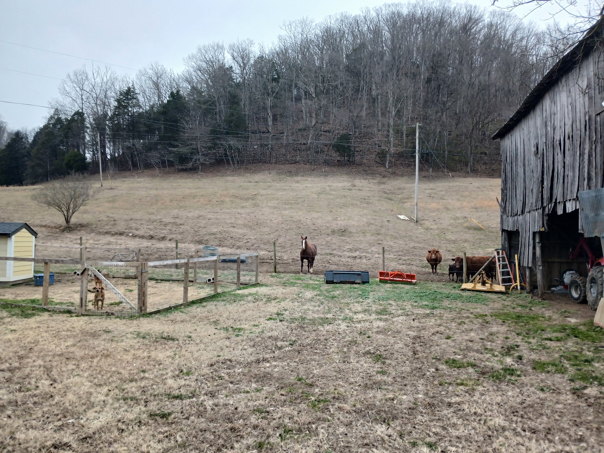 655 Wilmore Hollow Road Pleasant Shade, TN 37145 - Photo 26 of 47 a view of a backyard