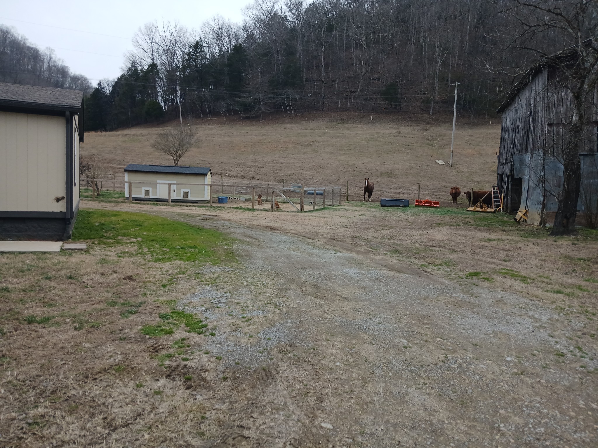 655 Wilmore Hollow Road Pleasant Shade, TN 37145 - Photo 28 of 47 a backyard of a house with barbeque oven