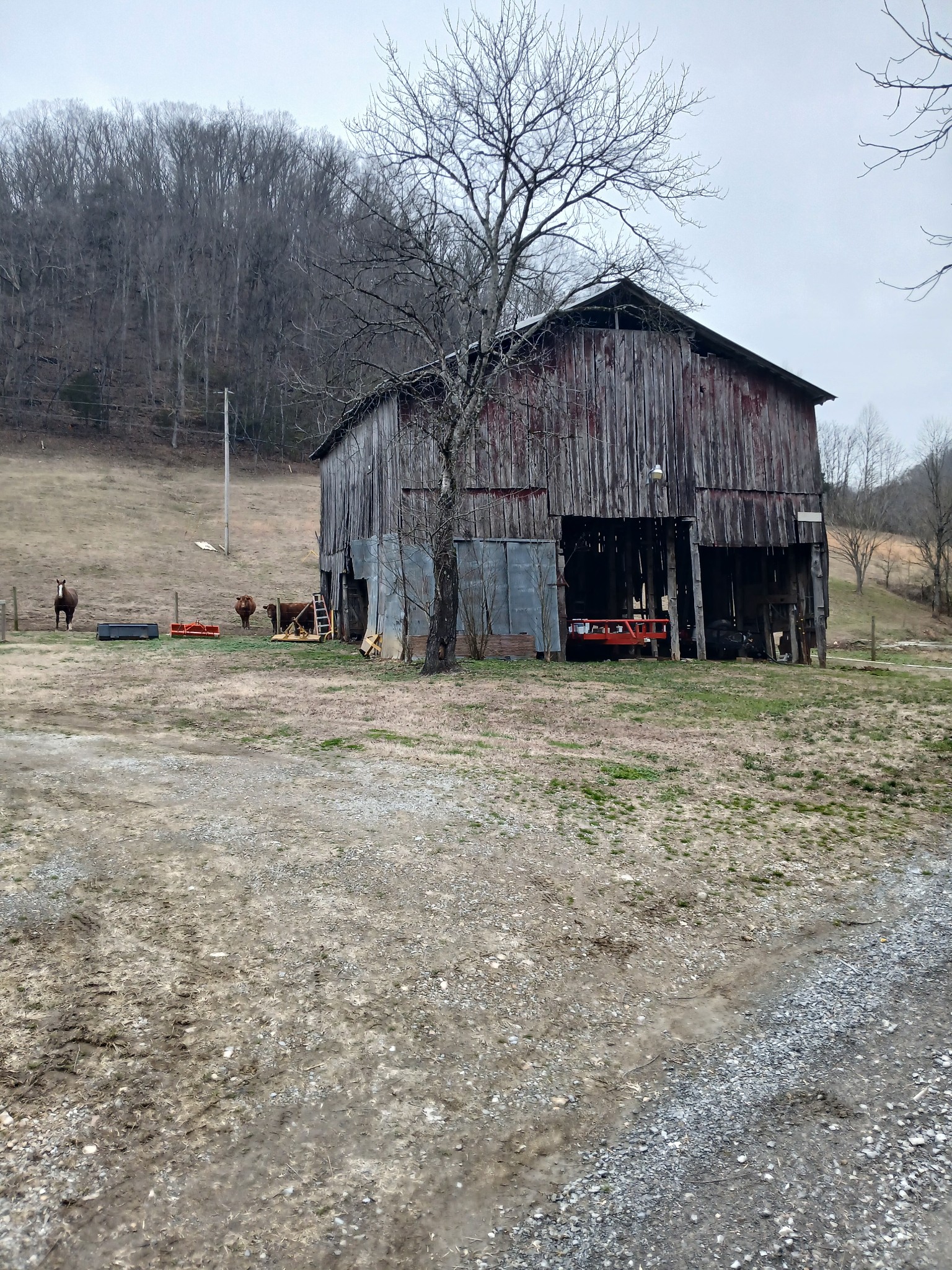 655 Wilmore Hollow Road Pleasant Shade, TN 37145 - Photo 29 of 47 a view of a house with a yard
